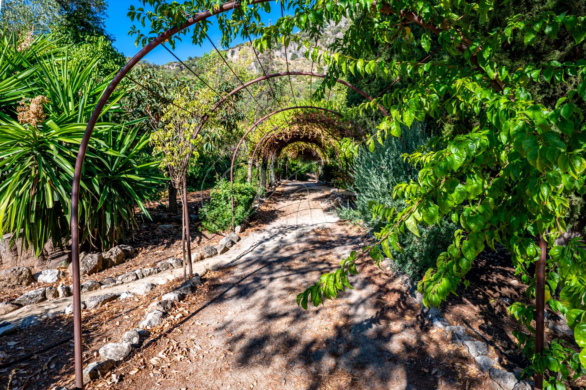 Finca for sale in Ronda