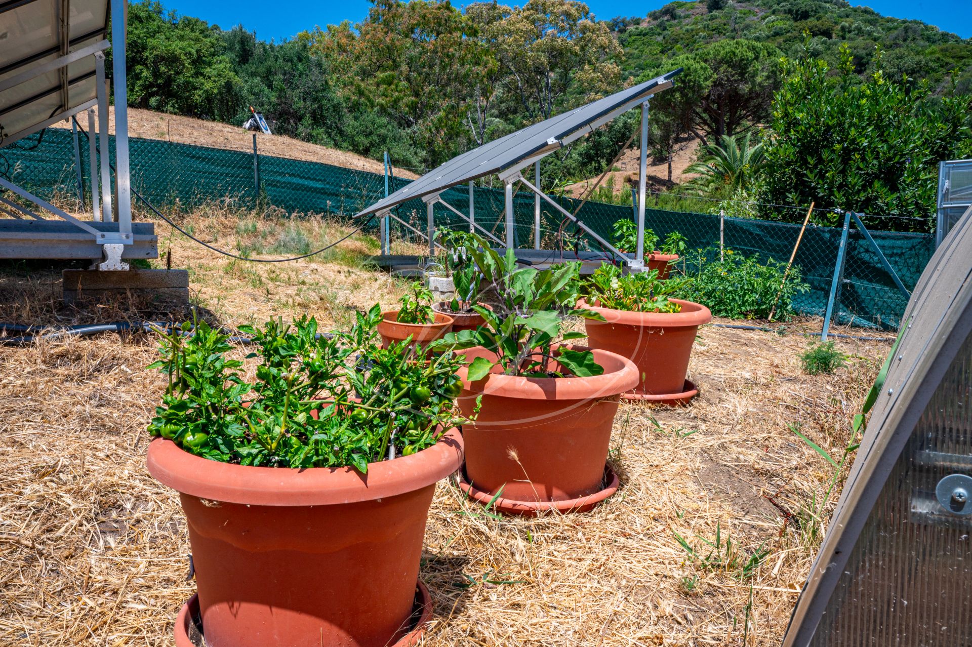 Finca for sale in Casares