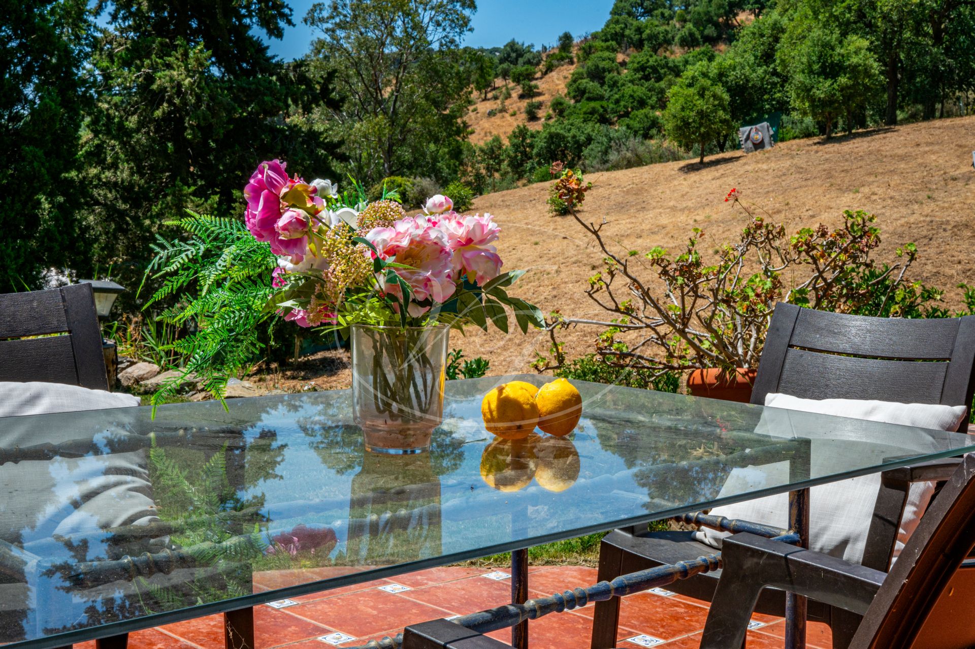 Finca for sale in Casares