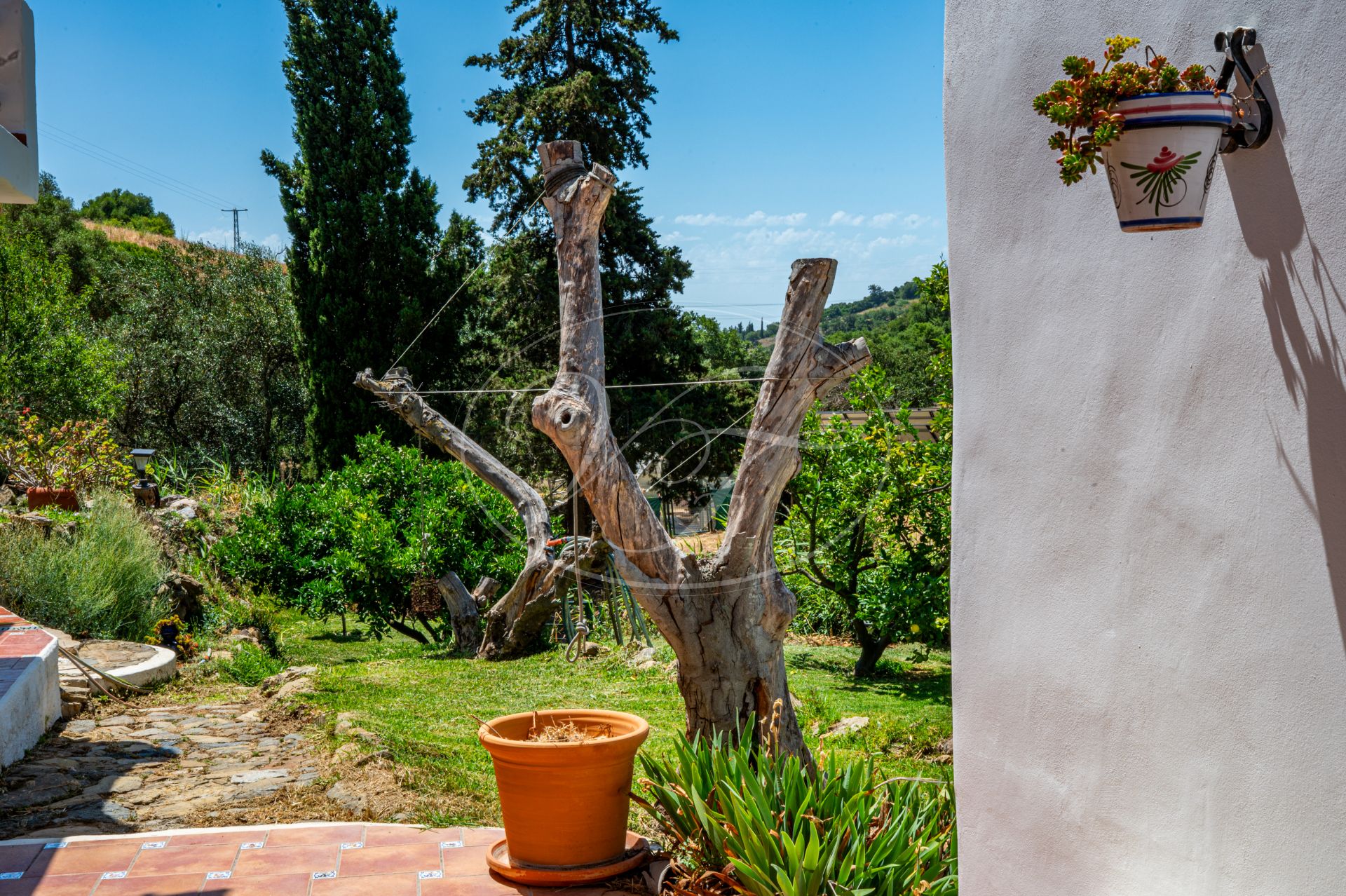 Finca for sale in Casares