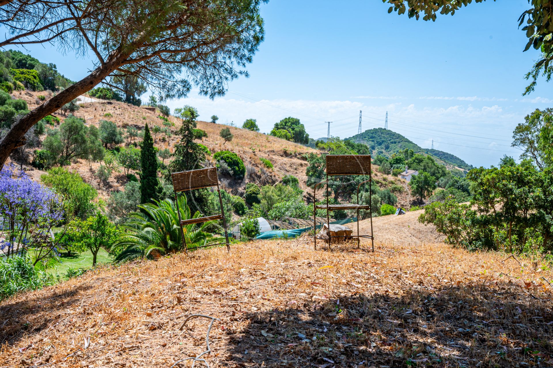 Finca for sale in Casares