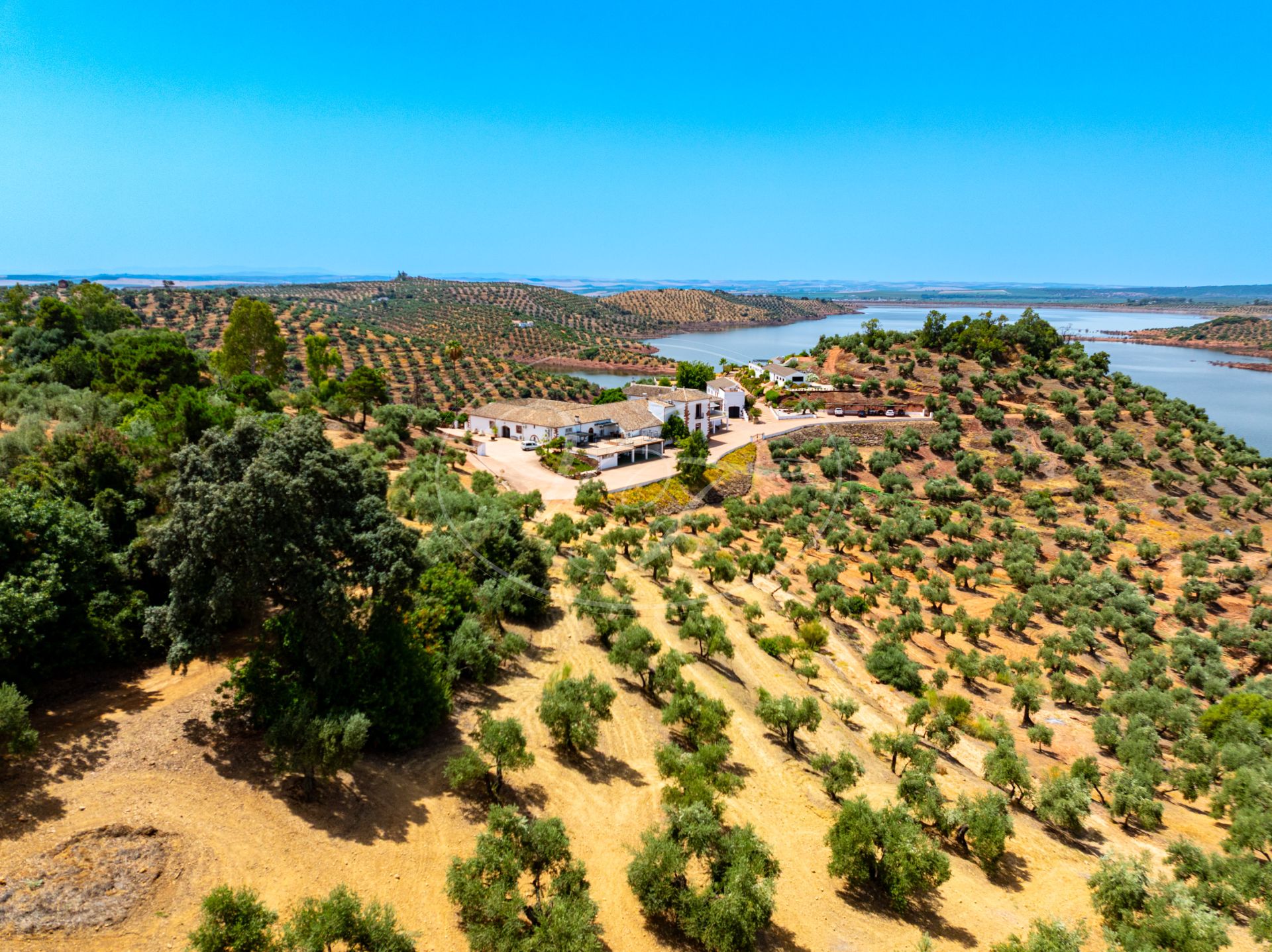 Estate for sale in Montoro