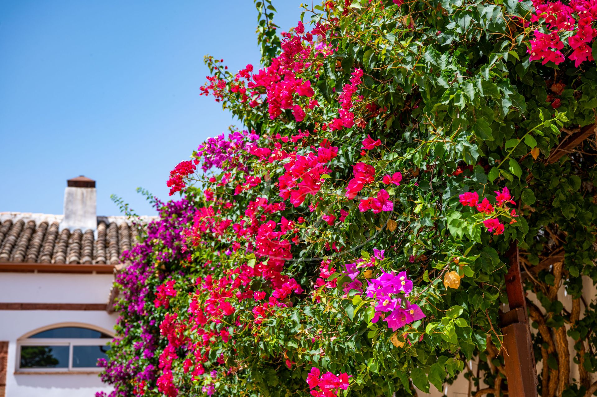 Estate for sale in Montoro