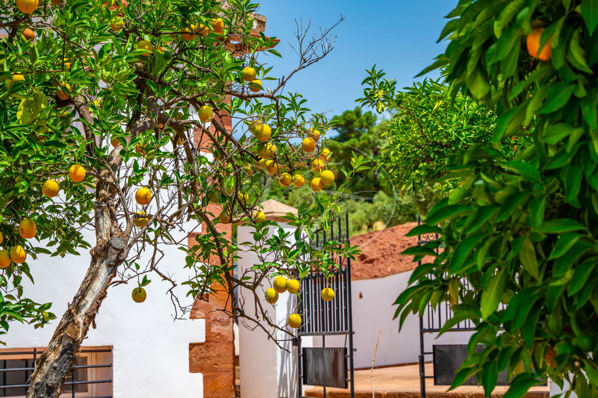 Estate for sale in Montoro