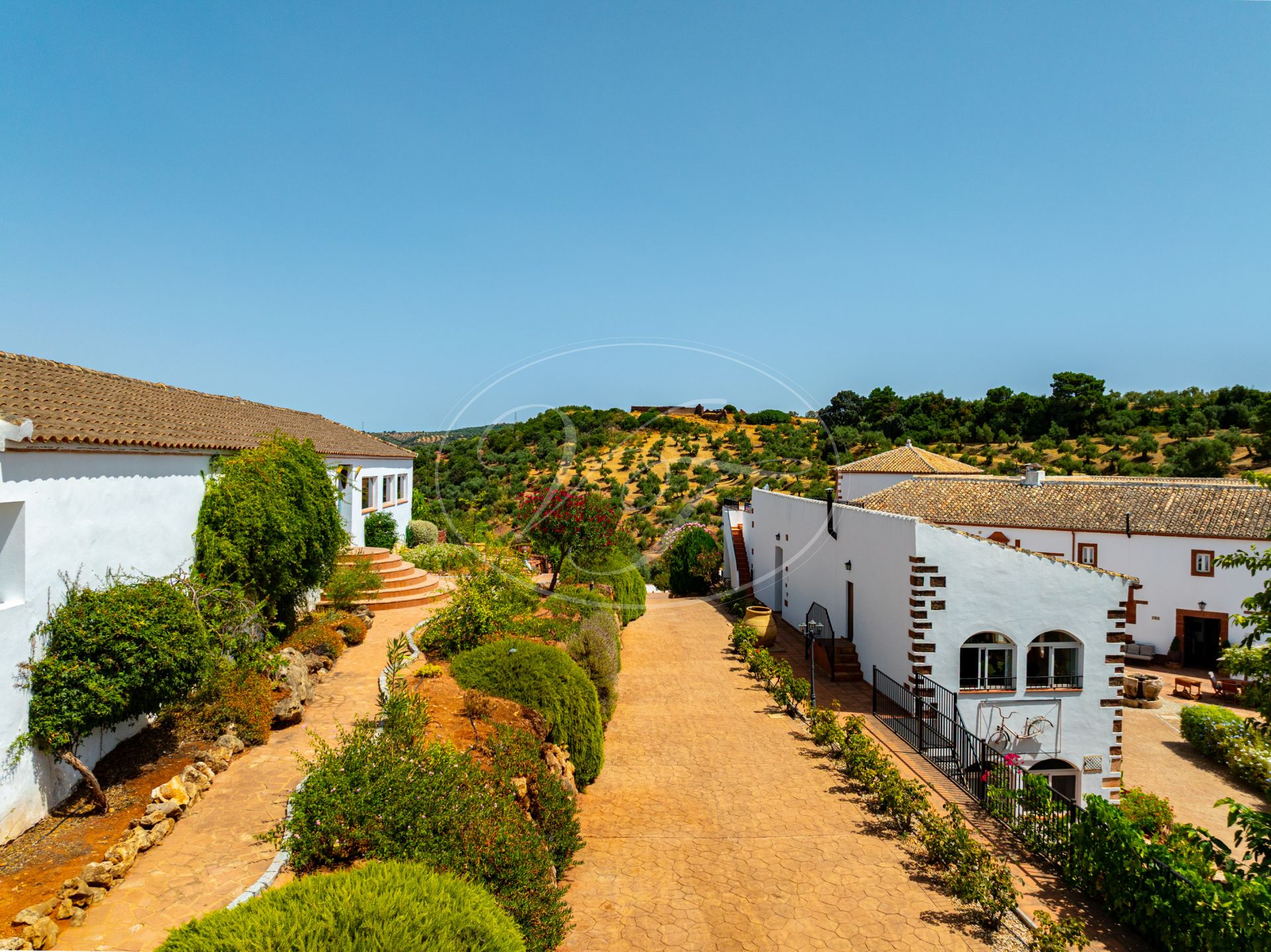 Estate for sale in Montoro