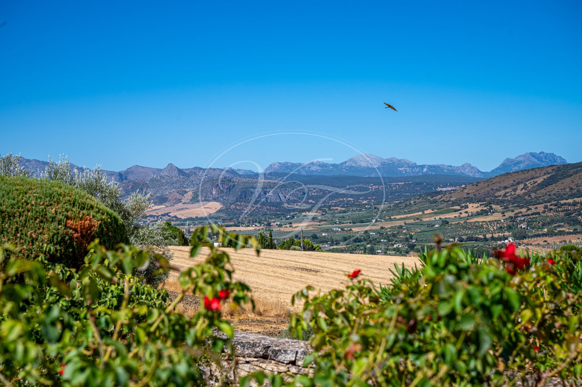 Landhaus zu verkaufen in Ronda