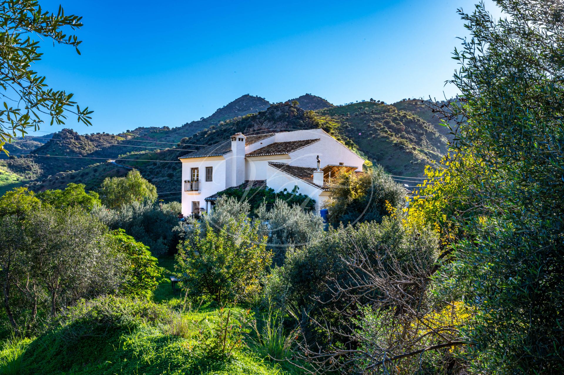 Finca for sale in Almogia