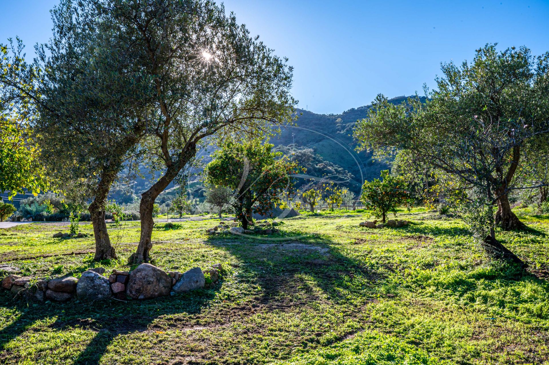 Finca for sale in Almogia