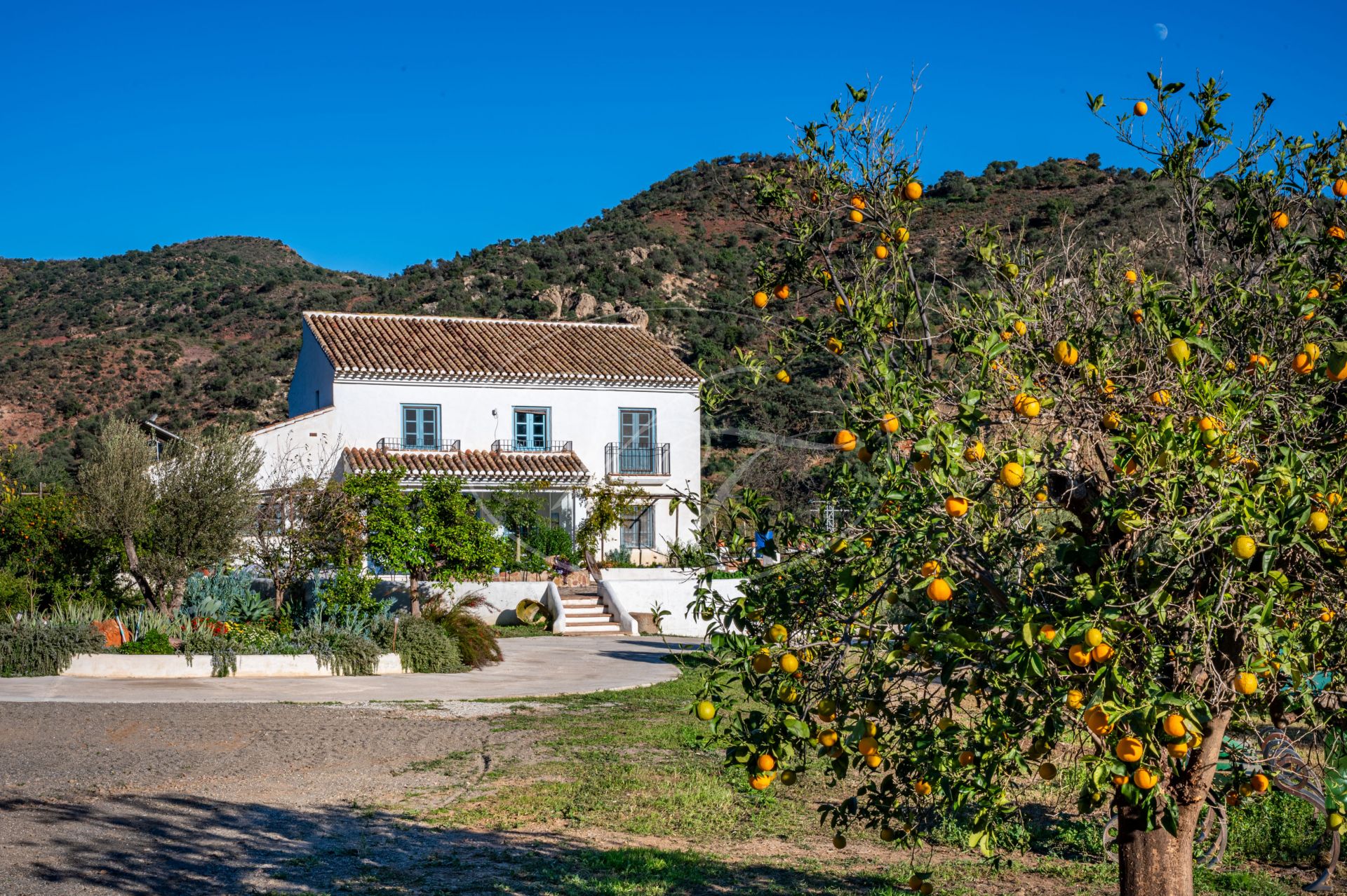 Finca for sale in Almogia