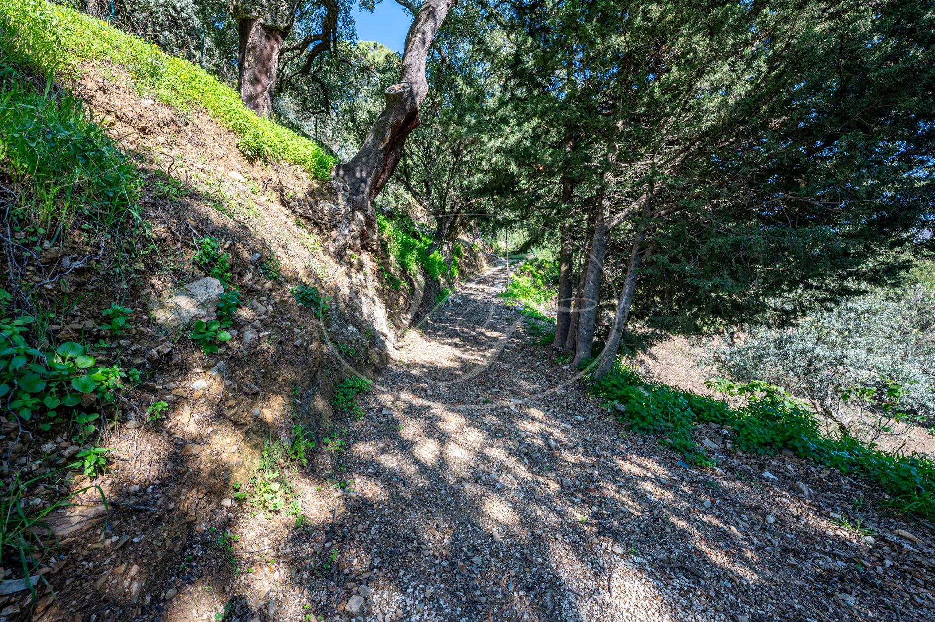 Casa de Campo en venta en Casares