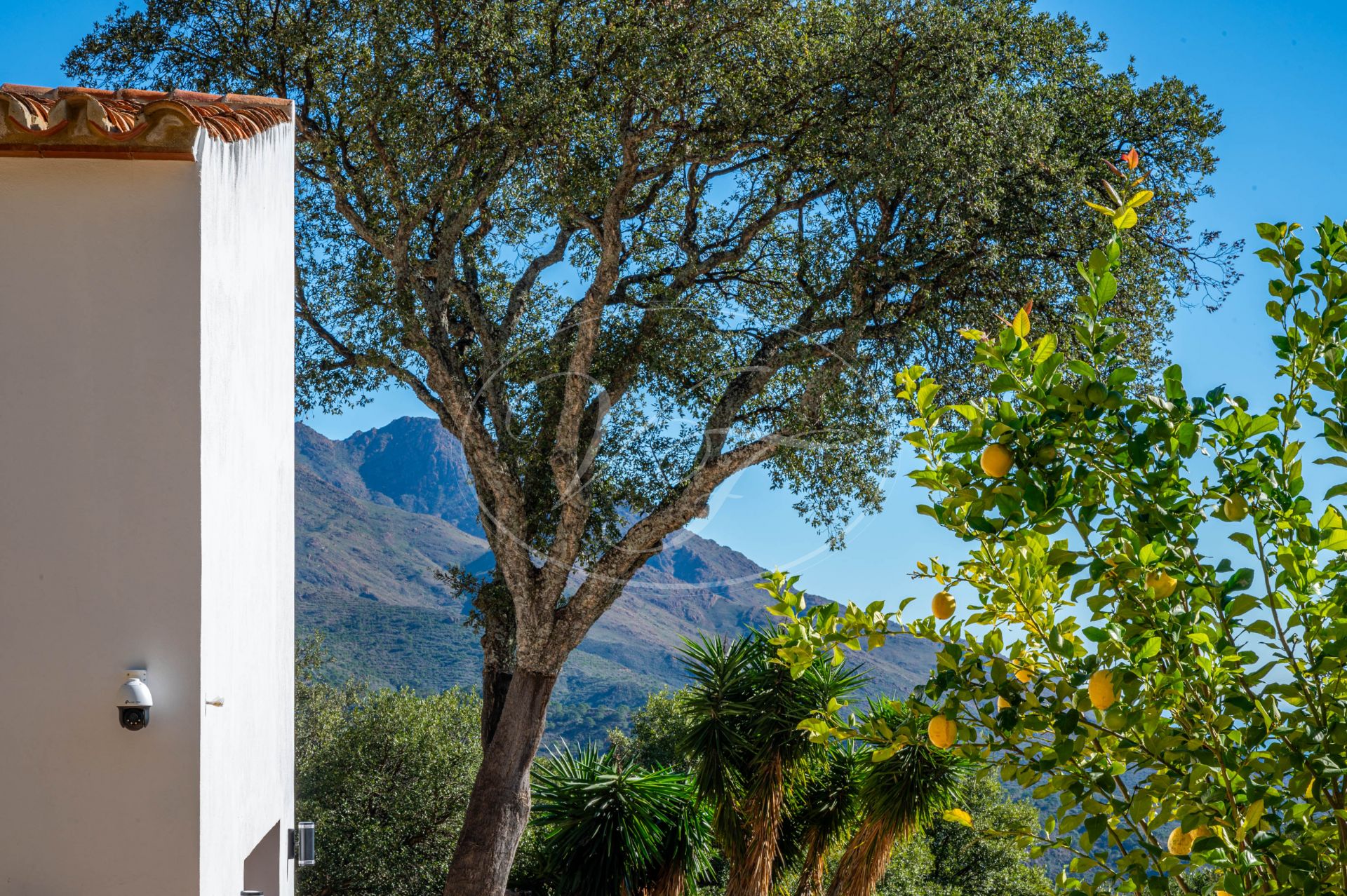 Casa de Campo en venta en Casares