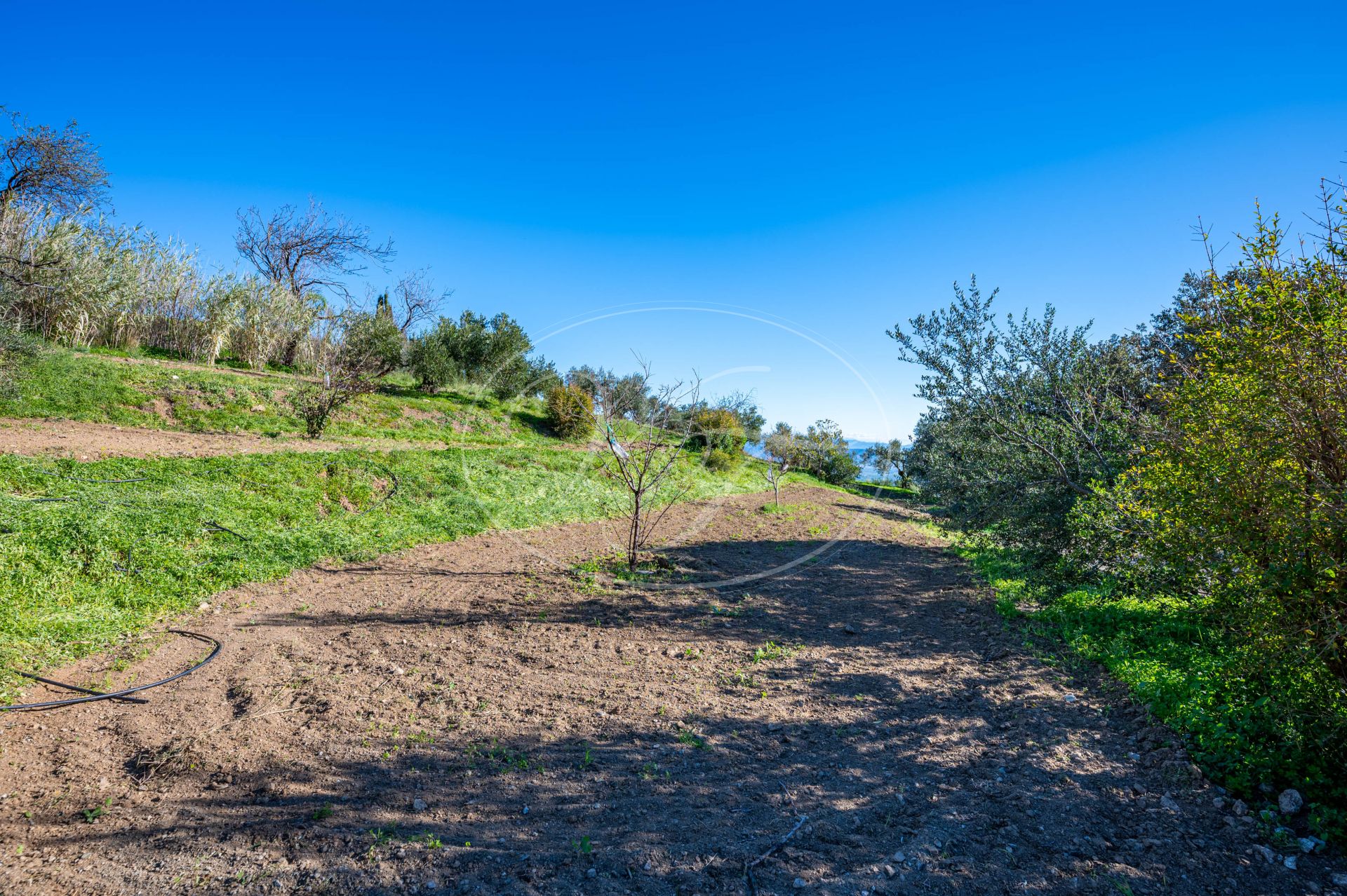 Country House for sale in Casarabonela