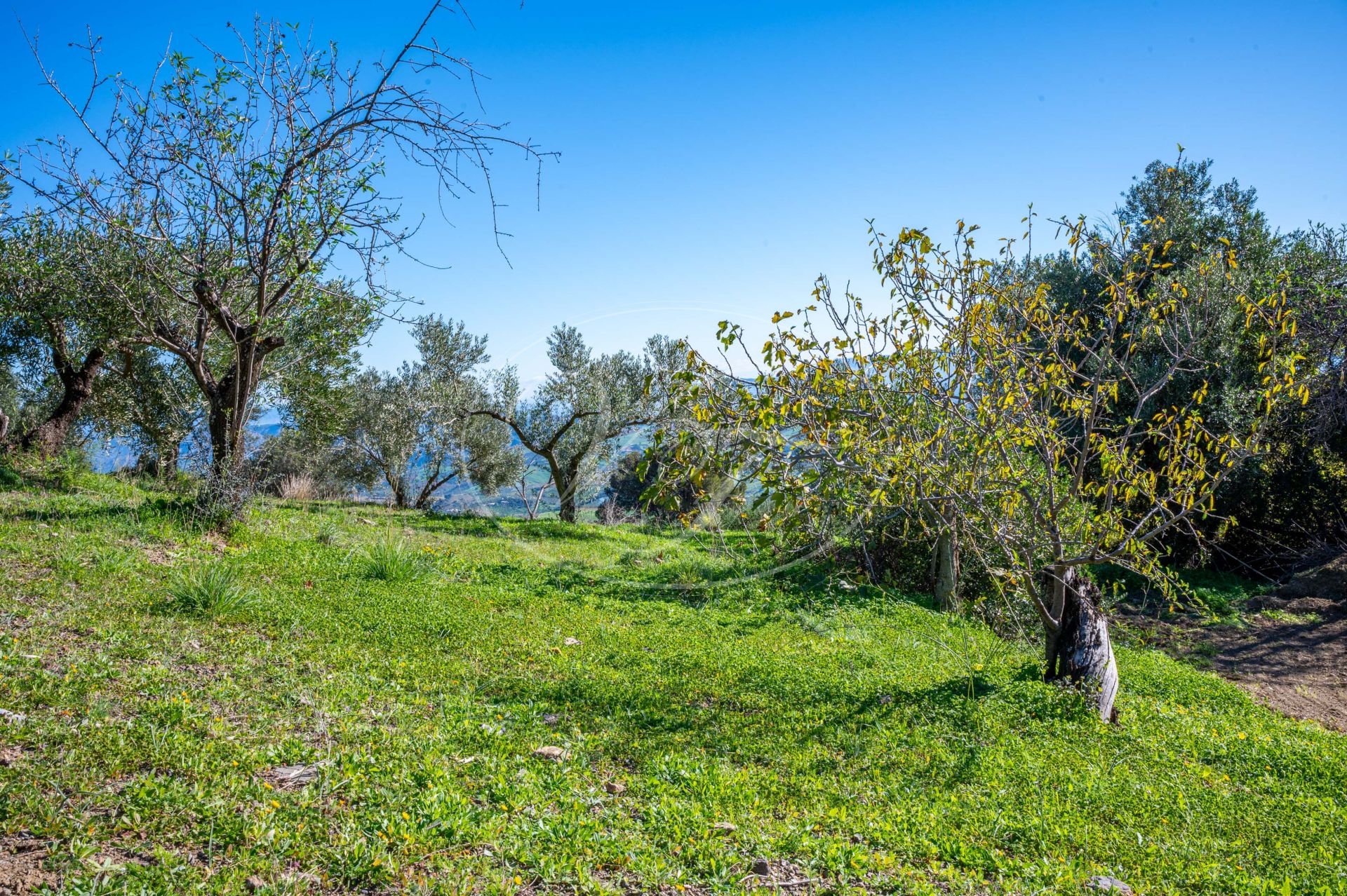 Country House for sale in Casarabonela