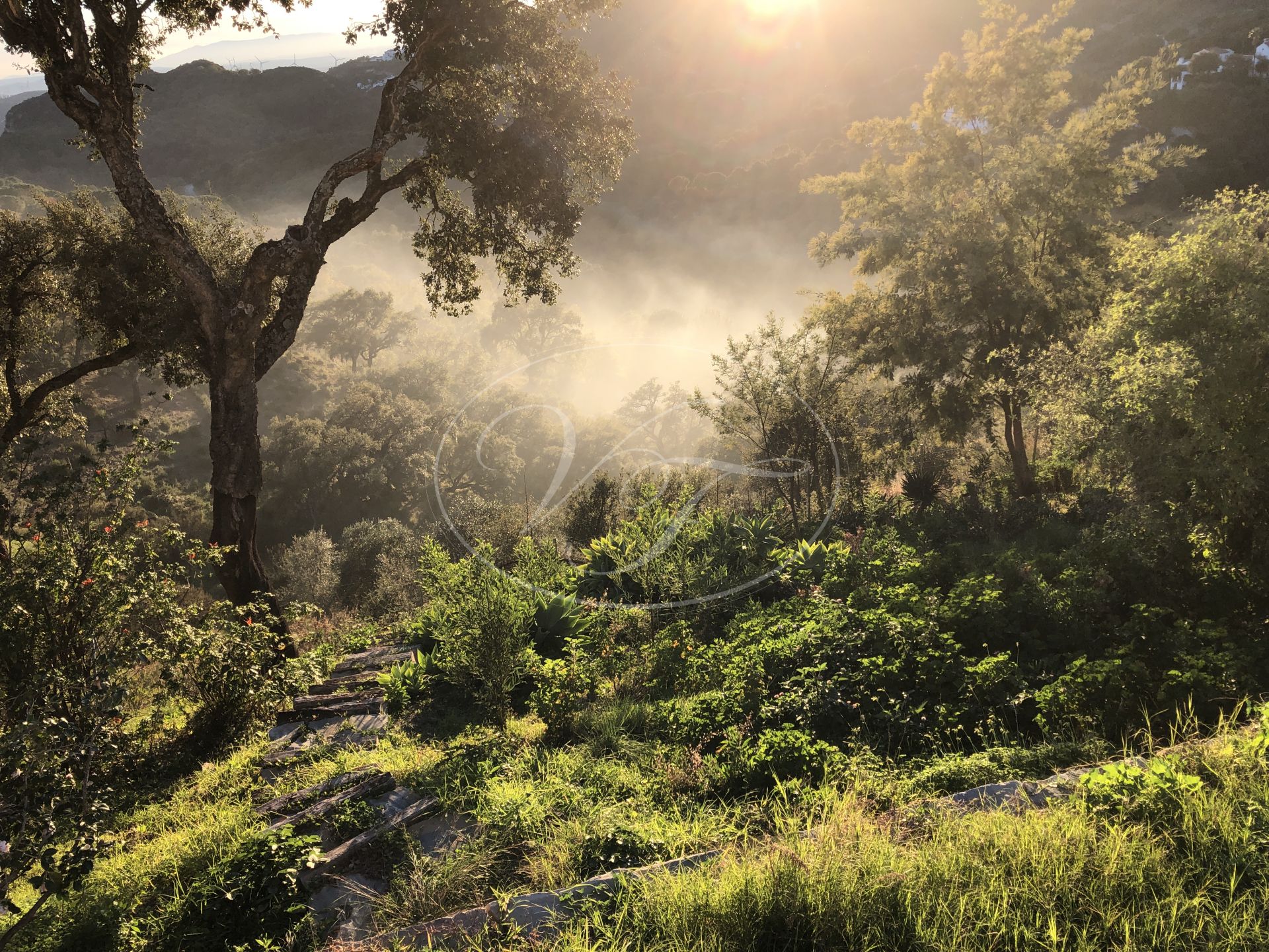 Casa de Campo en venta en Casares Montaña