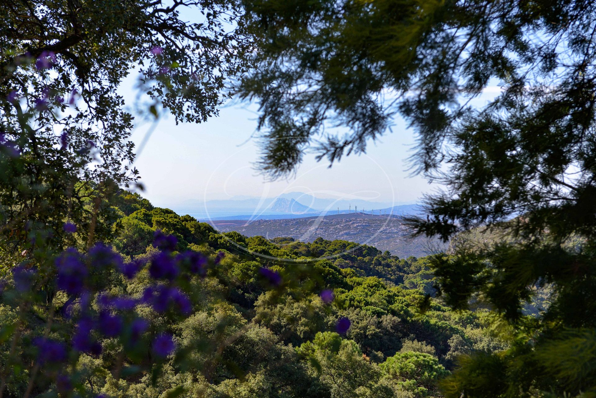 Casa de Campo en venta en Casares Montaña