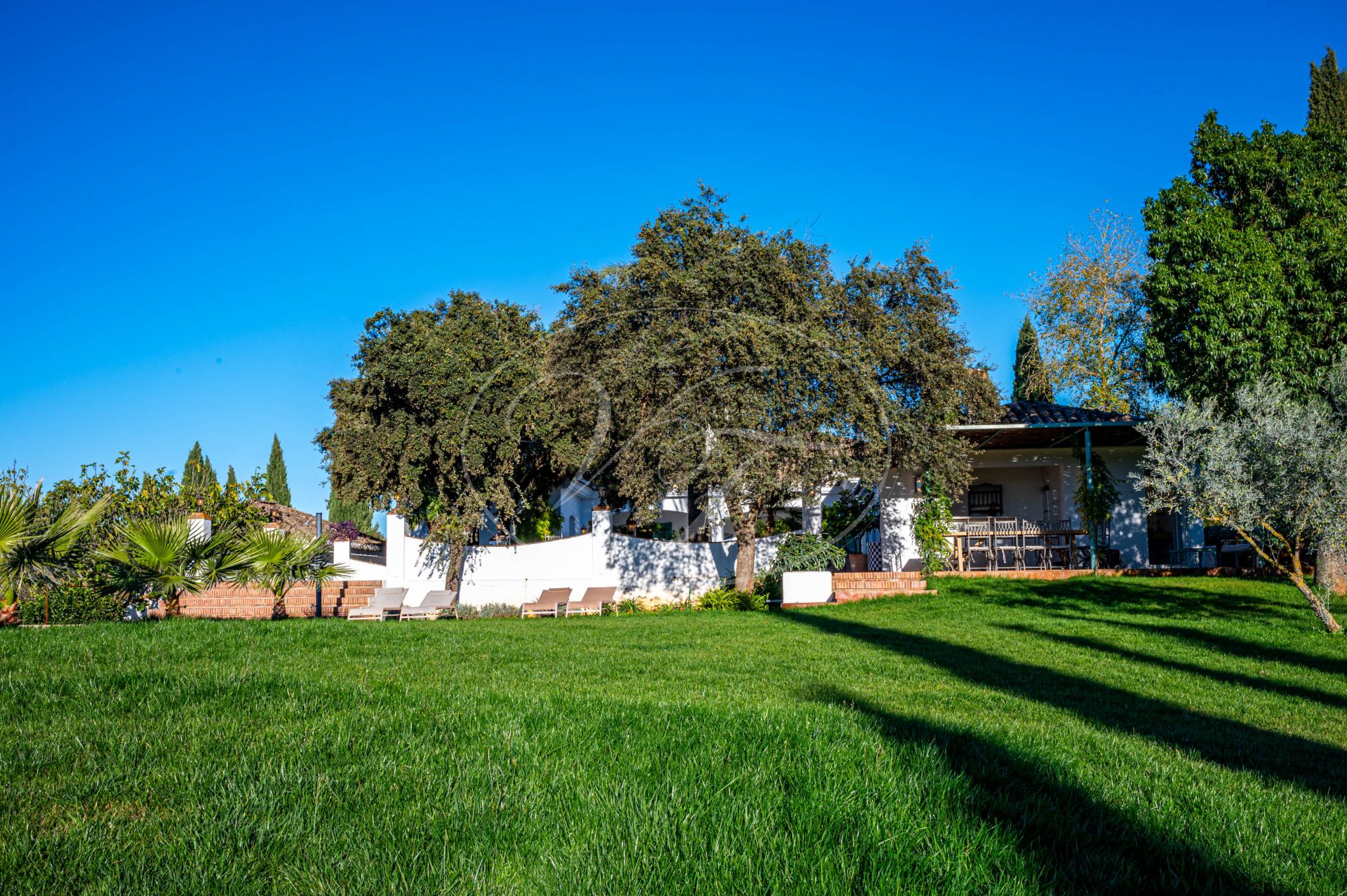Cortijo for sale in Ronda