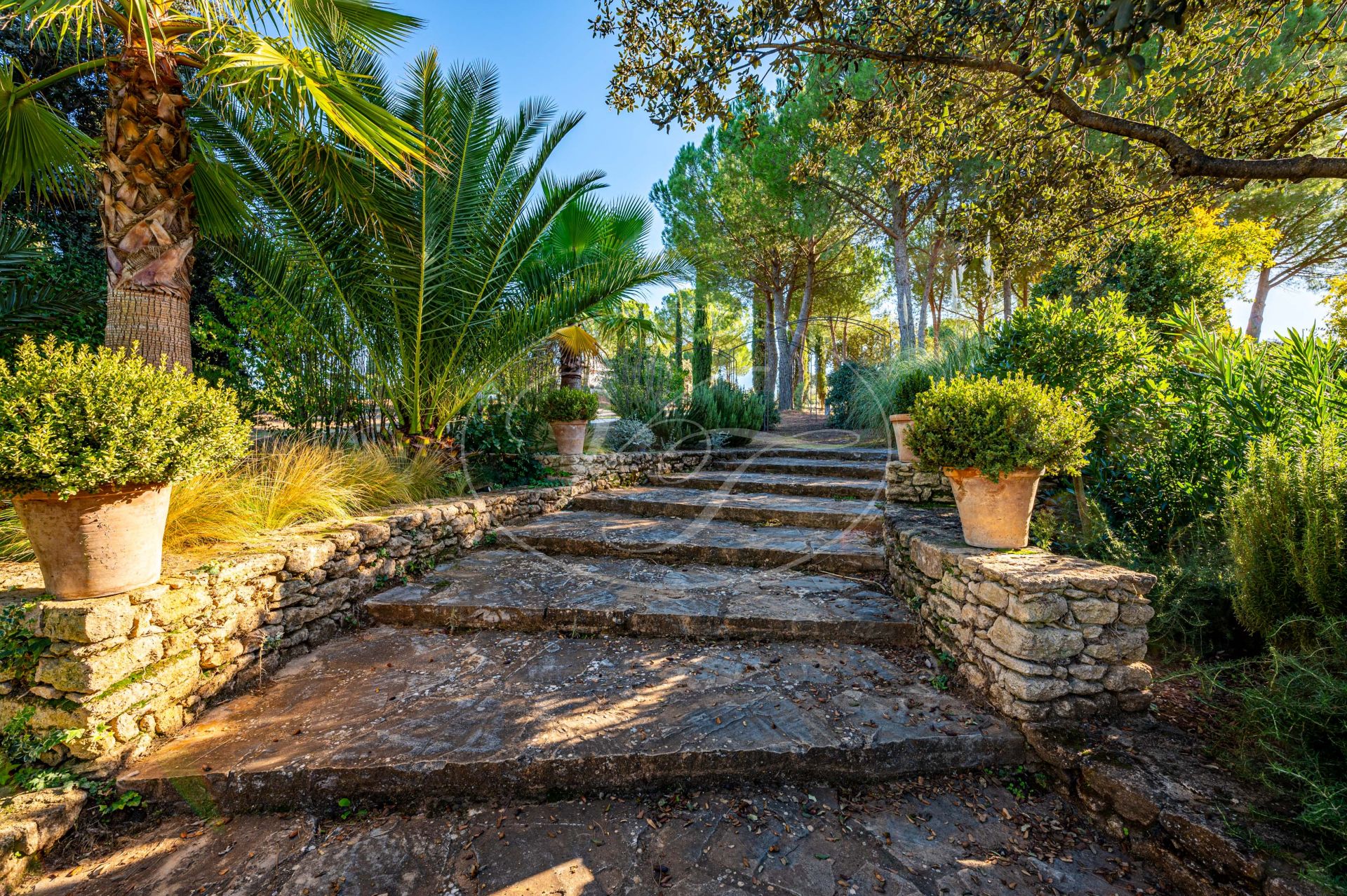 Cortijo for sale in Ronda