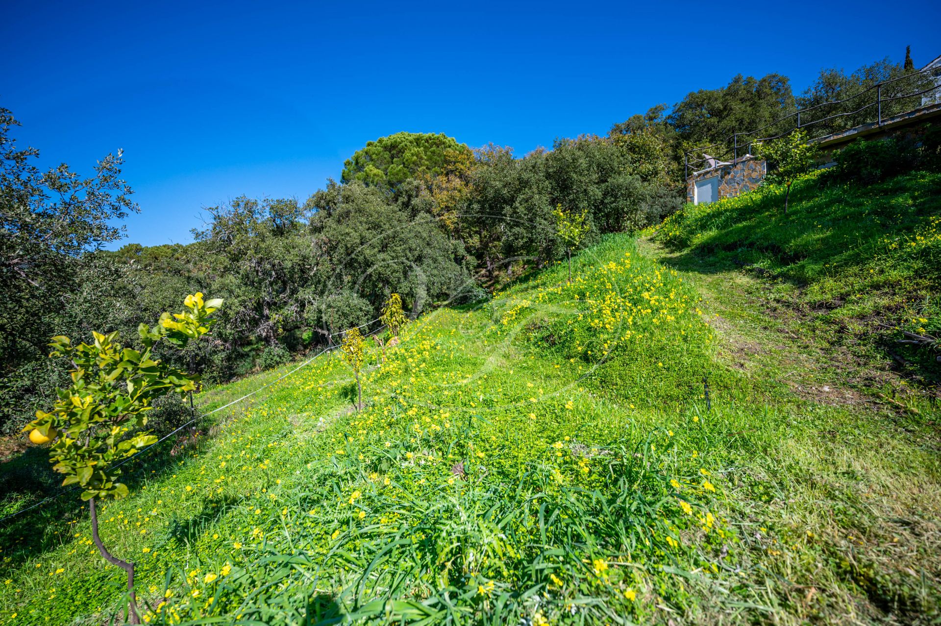 Country House for sale in Casares Montaña