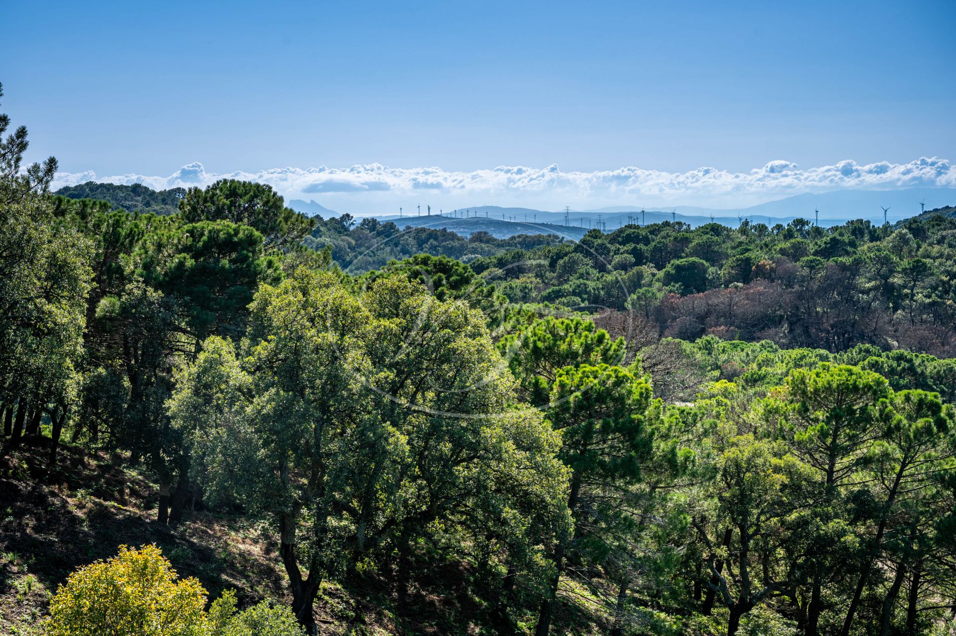 Country House for sale in Casares Montaña