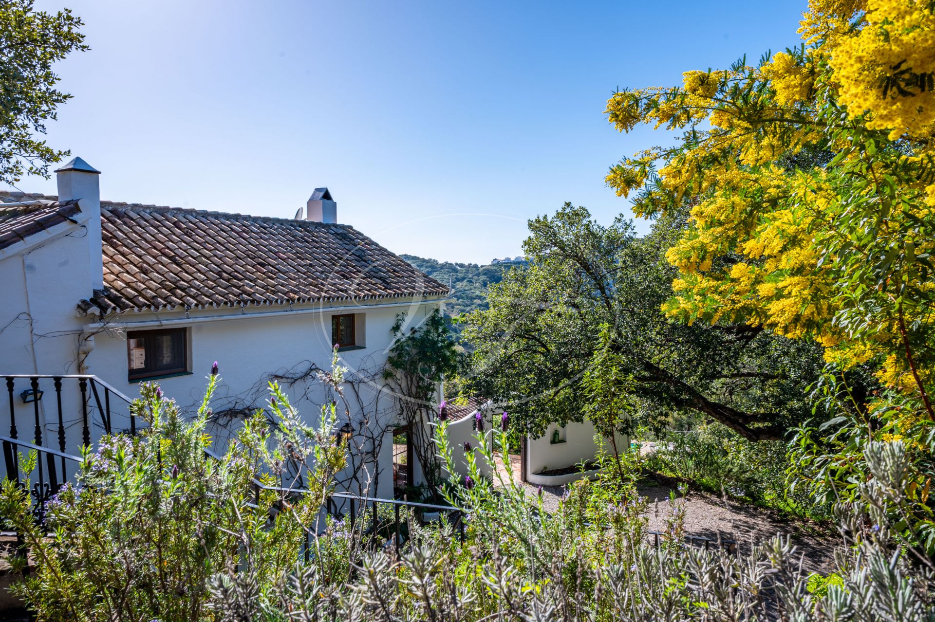 Country House for sale in Casares Montaña