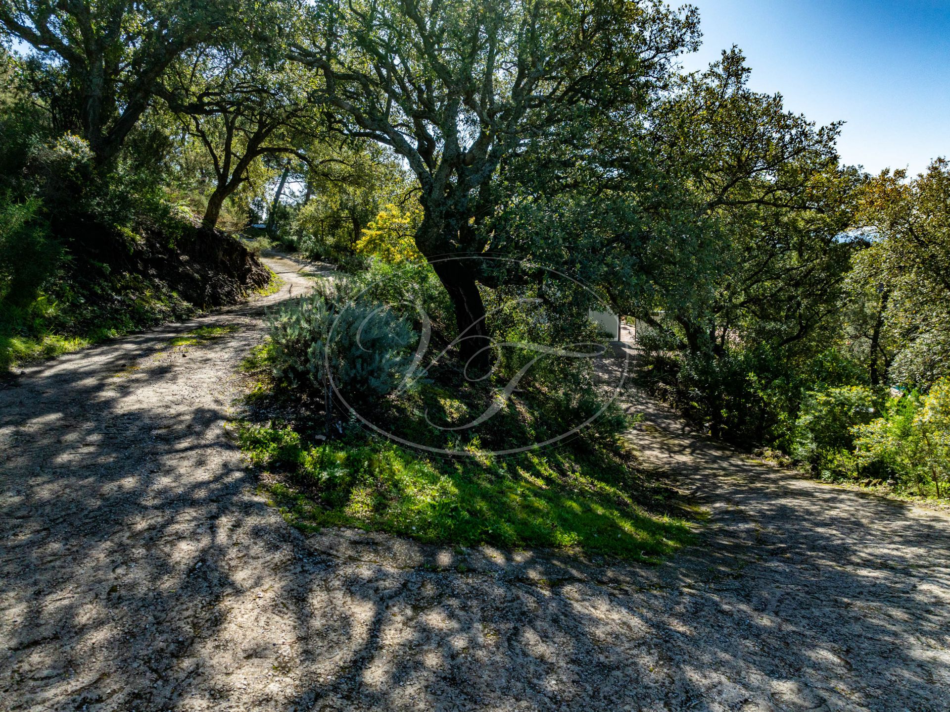 Country House for sale in Casares Montaña