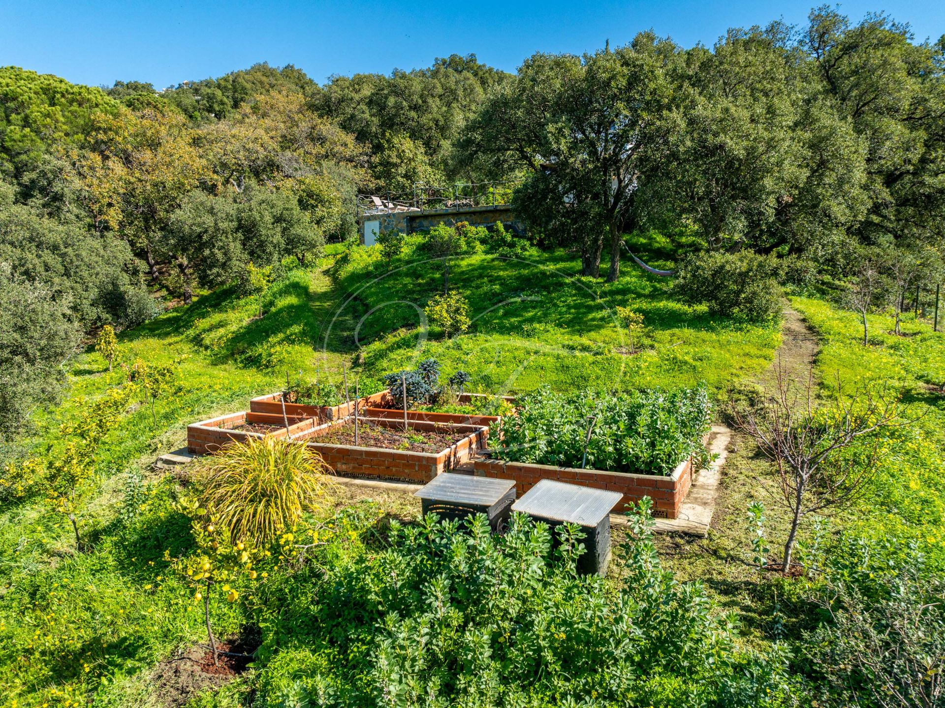 Country House for sale in Casares Montaña