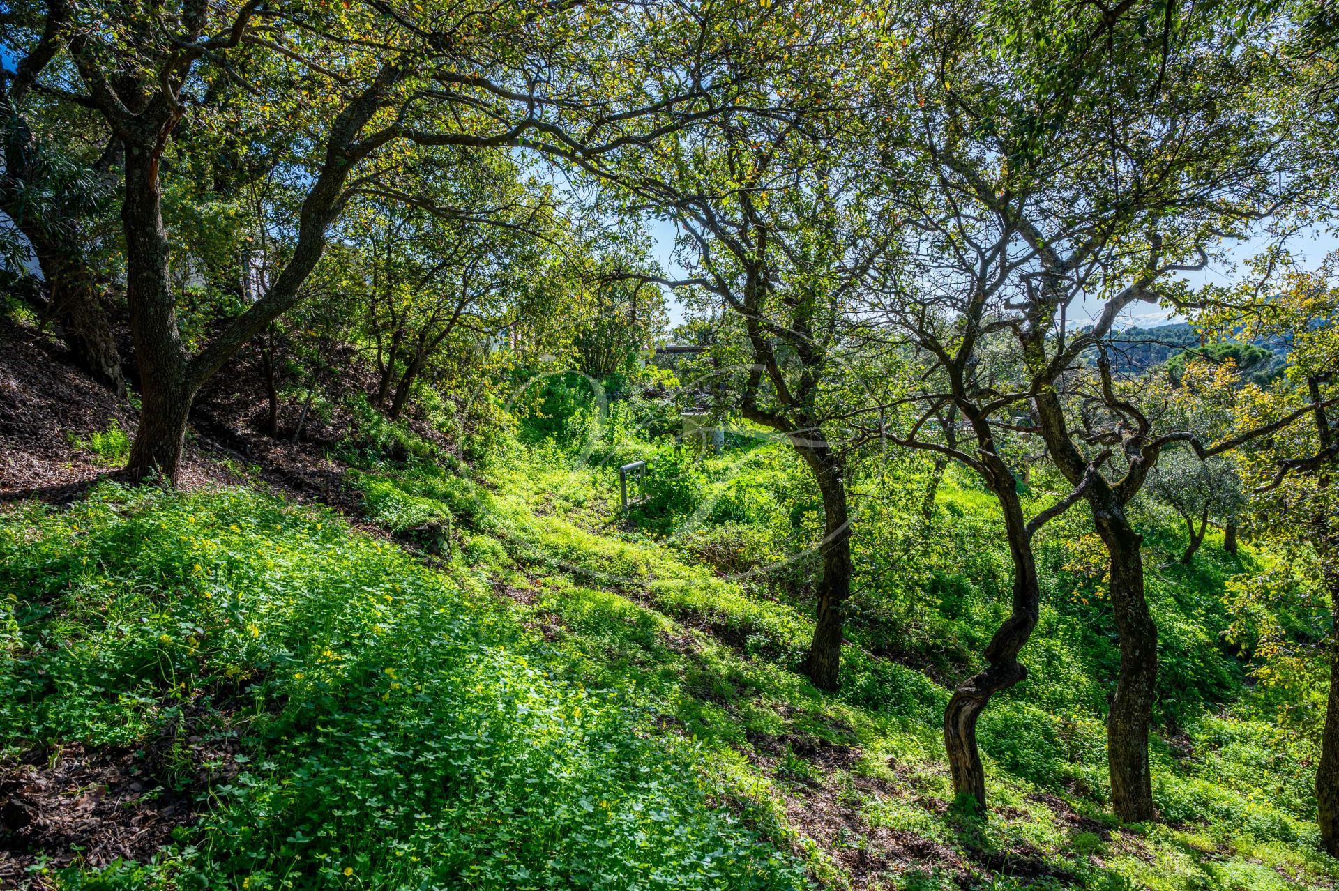 Country House for sale in Casares Montaña