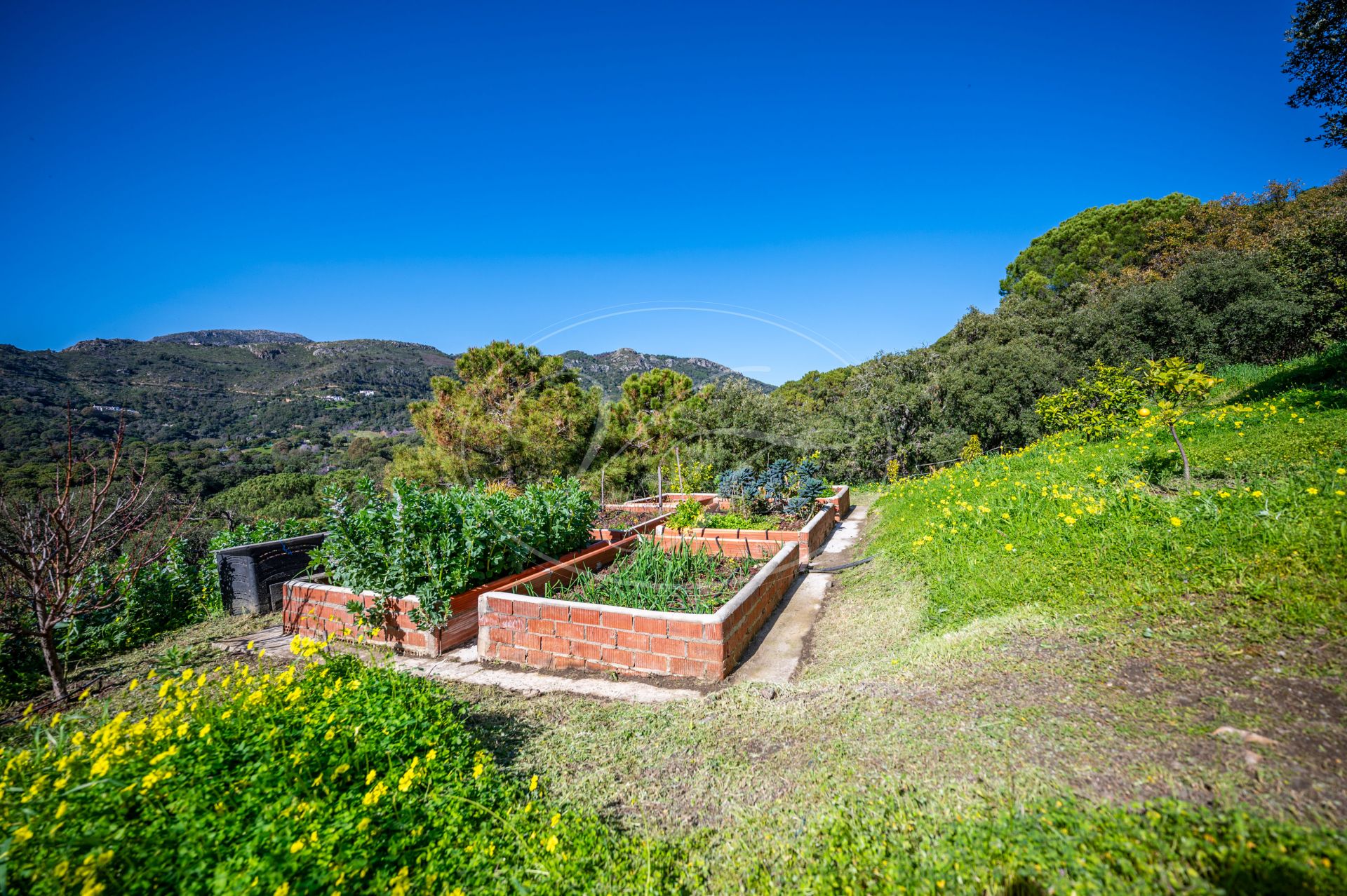 Country House for sale in Casares Montaña