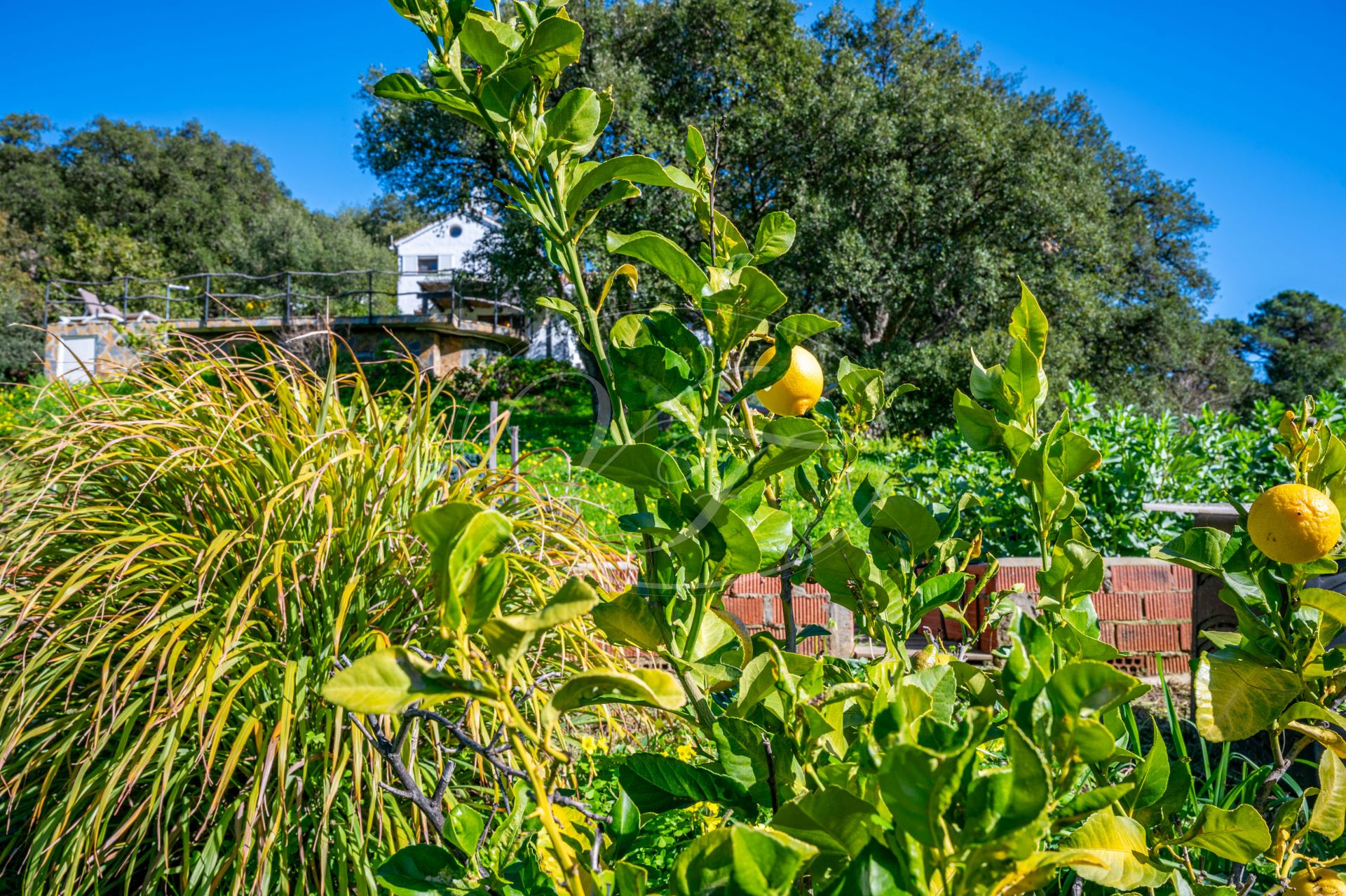 Country House for sale in Casares Montaña