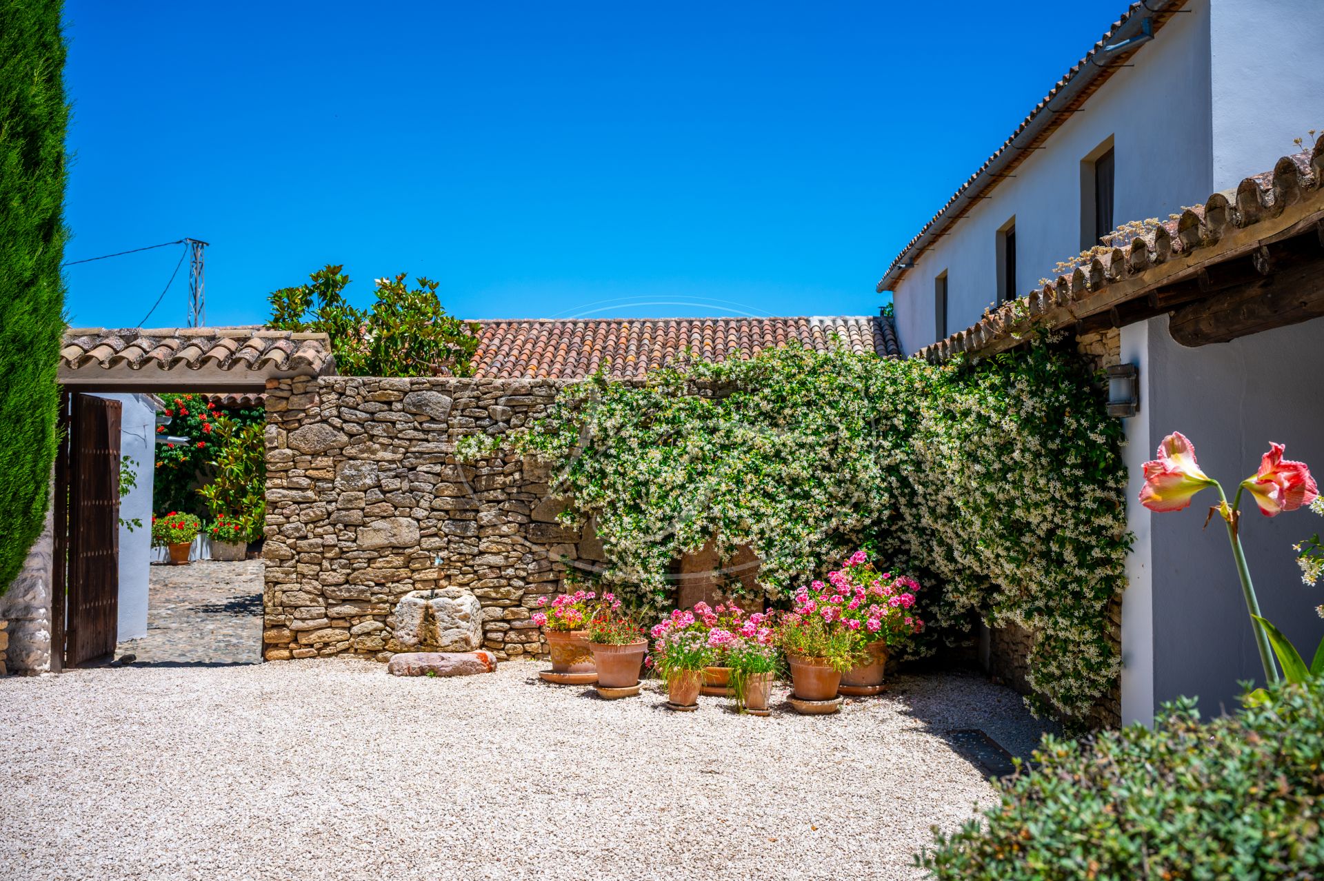 Cortijo for sale in Ronda