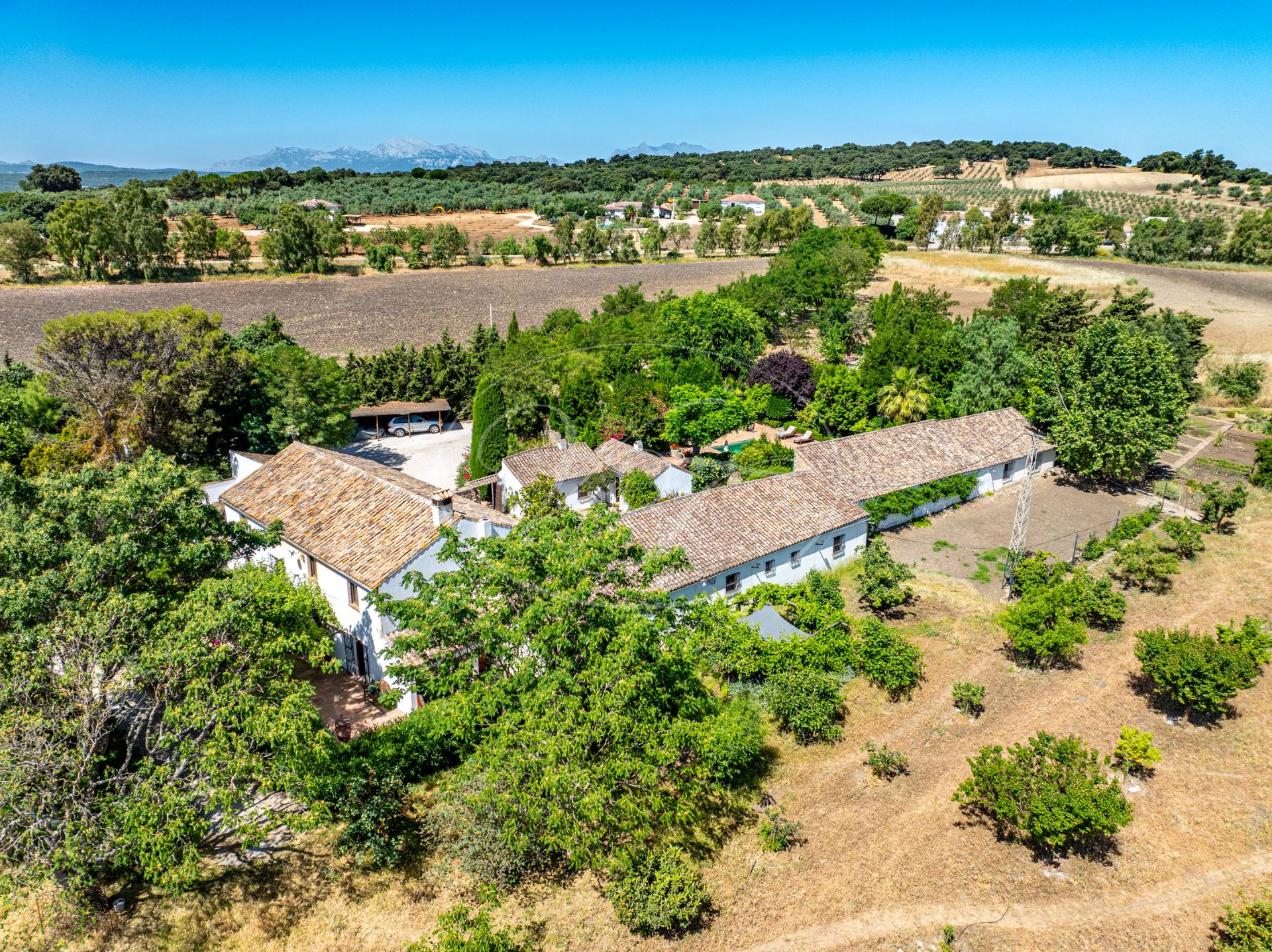 Cortijo for sale in Ronda