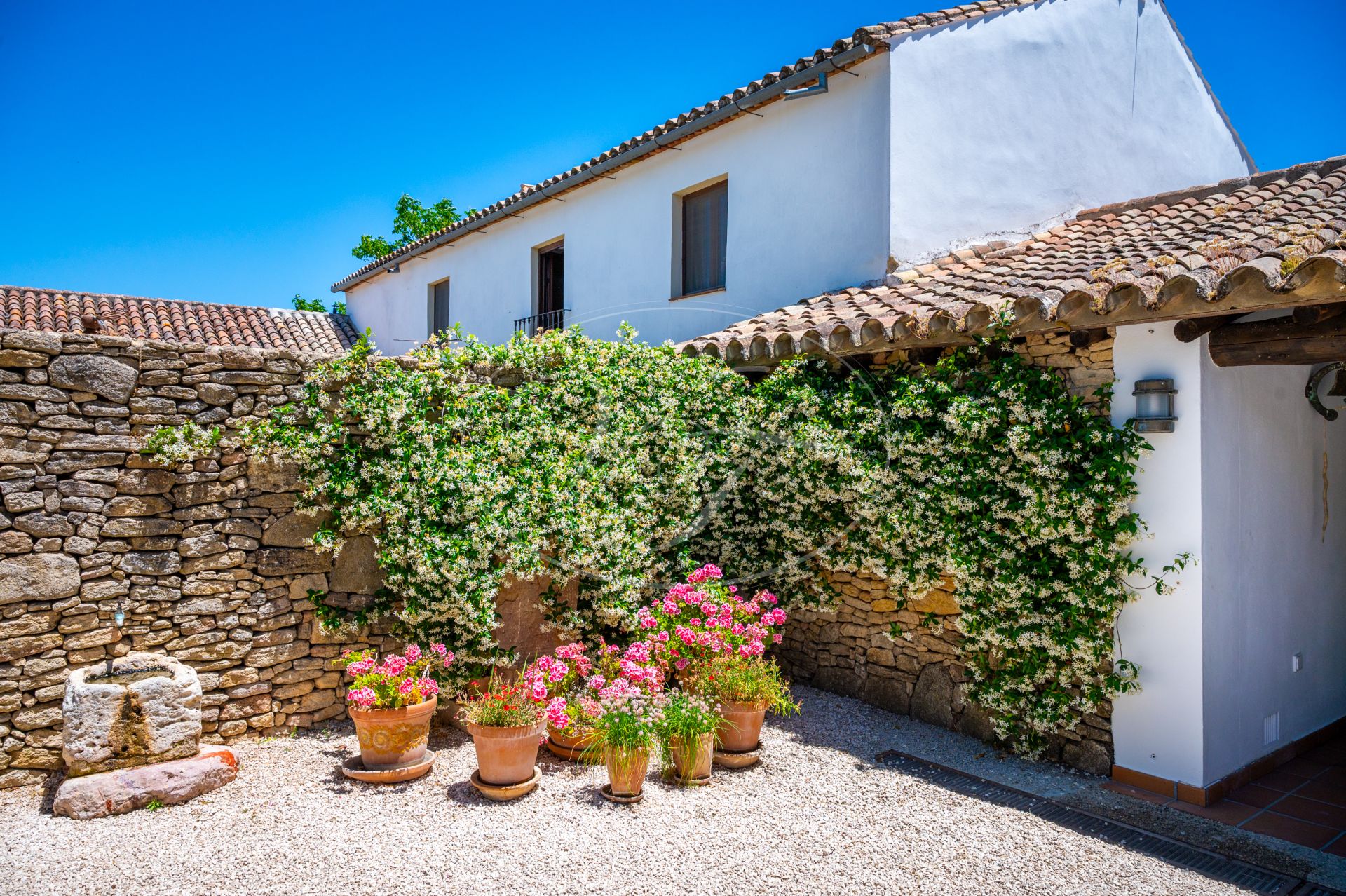 Cortijo for sale in Ronda