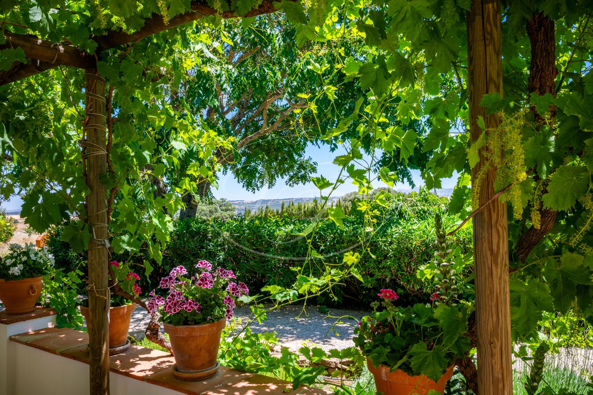 Cortijo for sale in Ronda