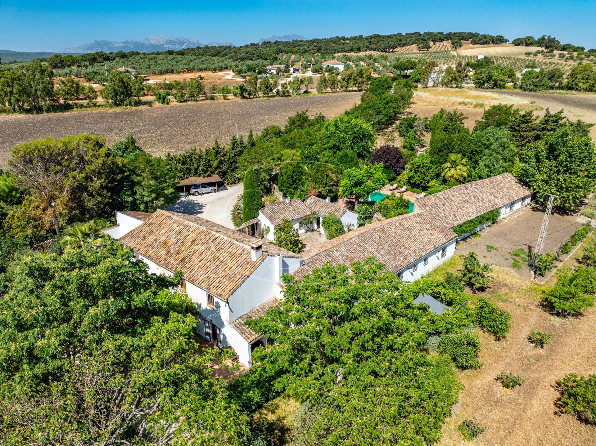 Cortijo for sale in Ronda