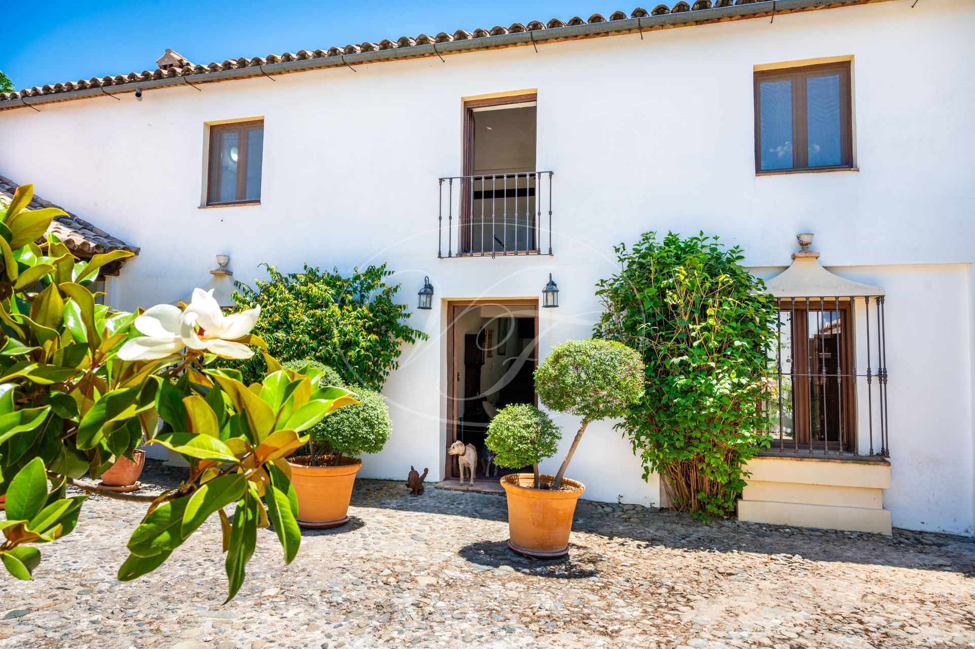 Cortijo for sale in Ronda
