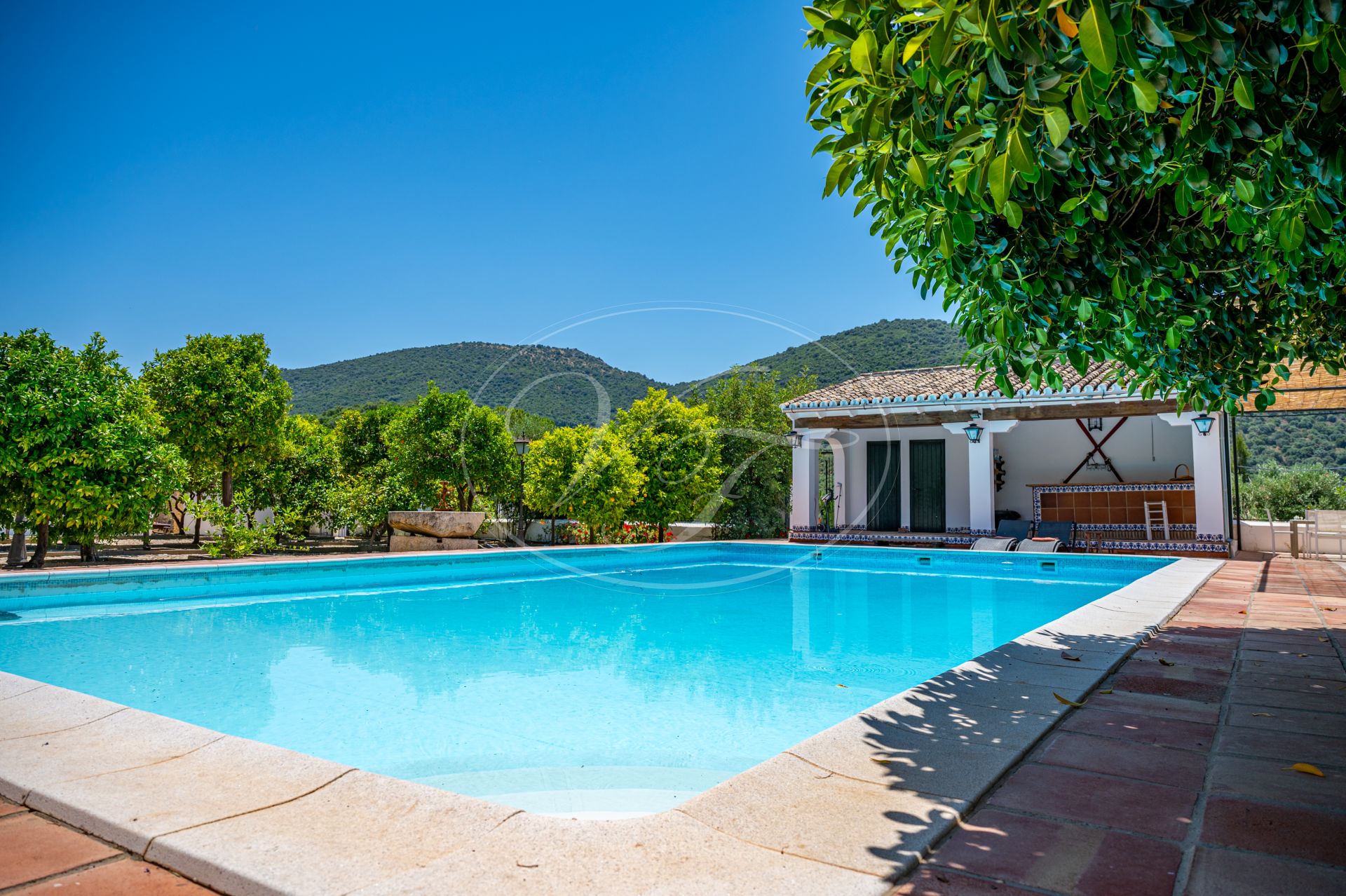 Cortijo for sale in Prado del Rey