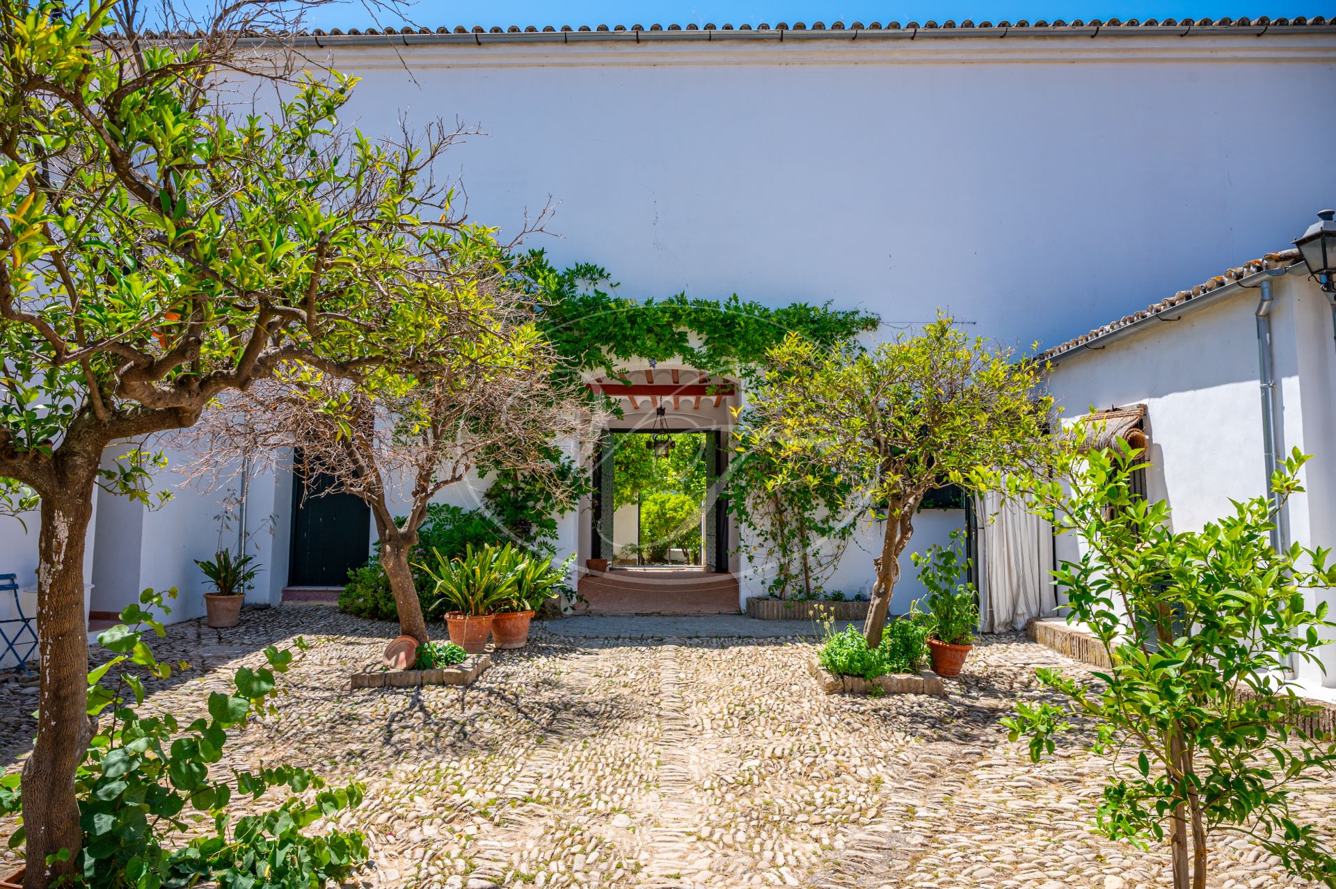 Cortijo for sale in Prado del Rey