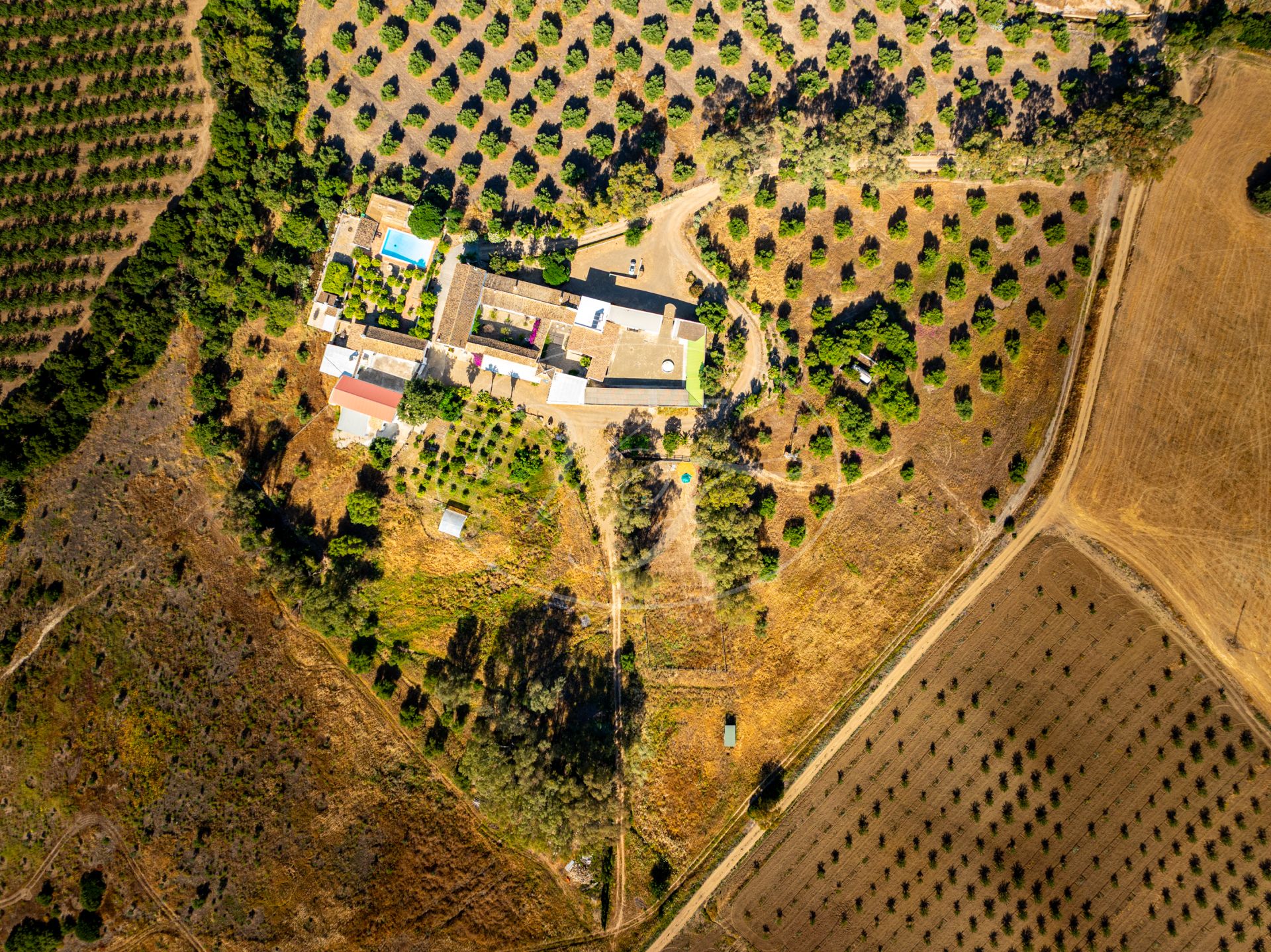 Cortijo for sale in Prado del Rey