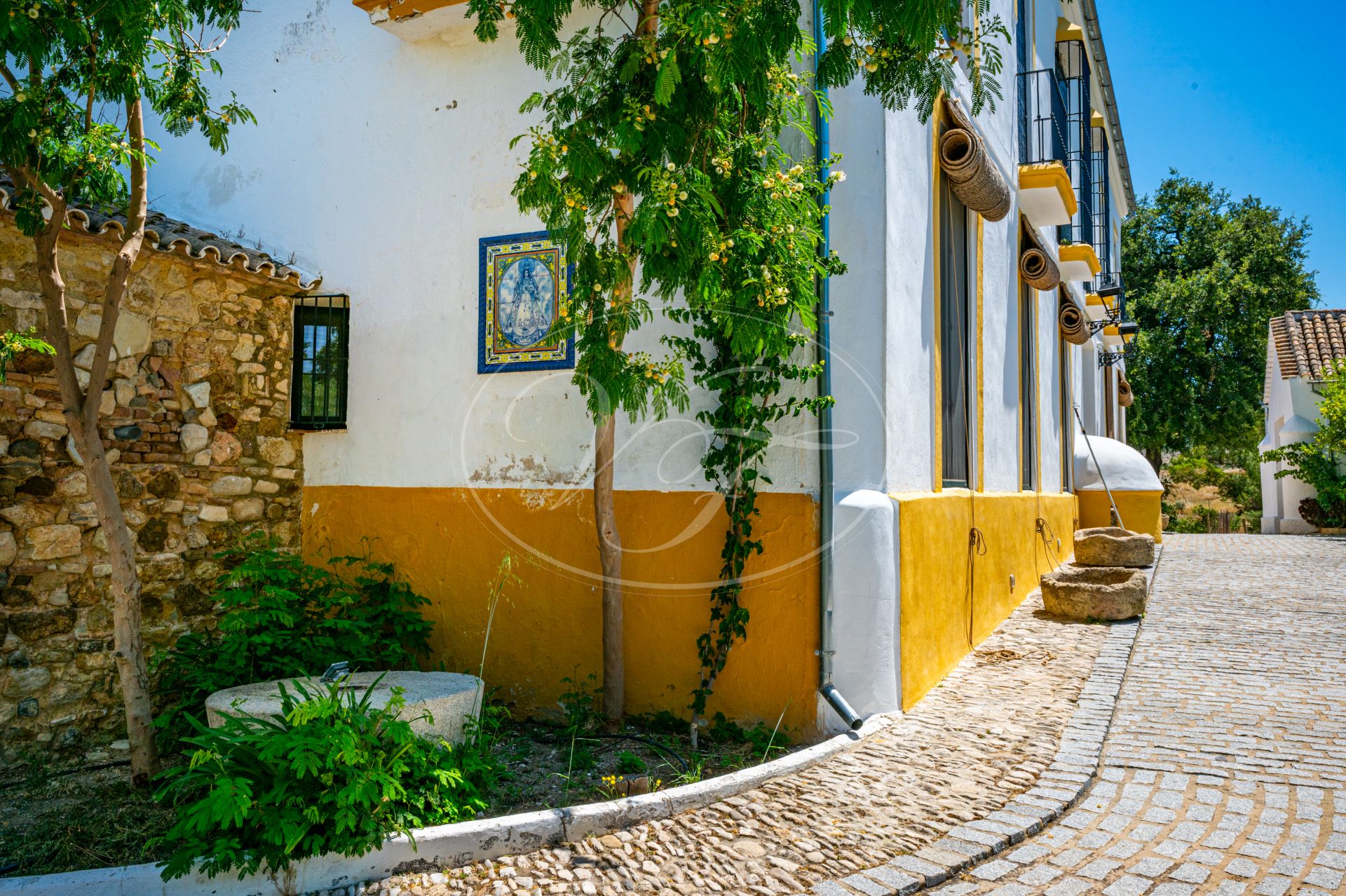 Cortijo for sale in Prado del Rey