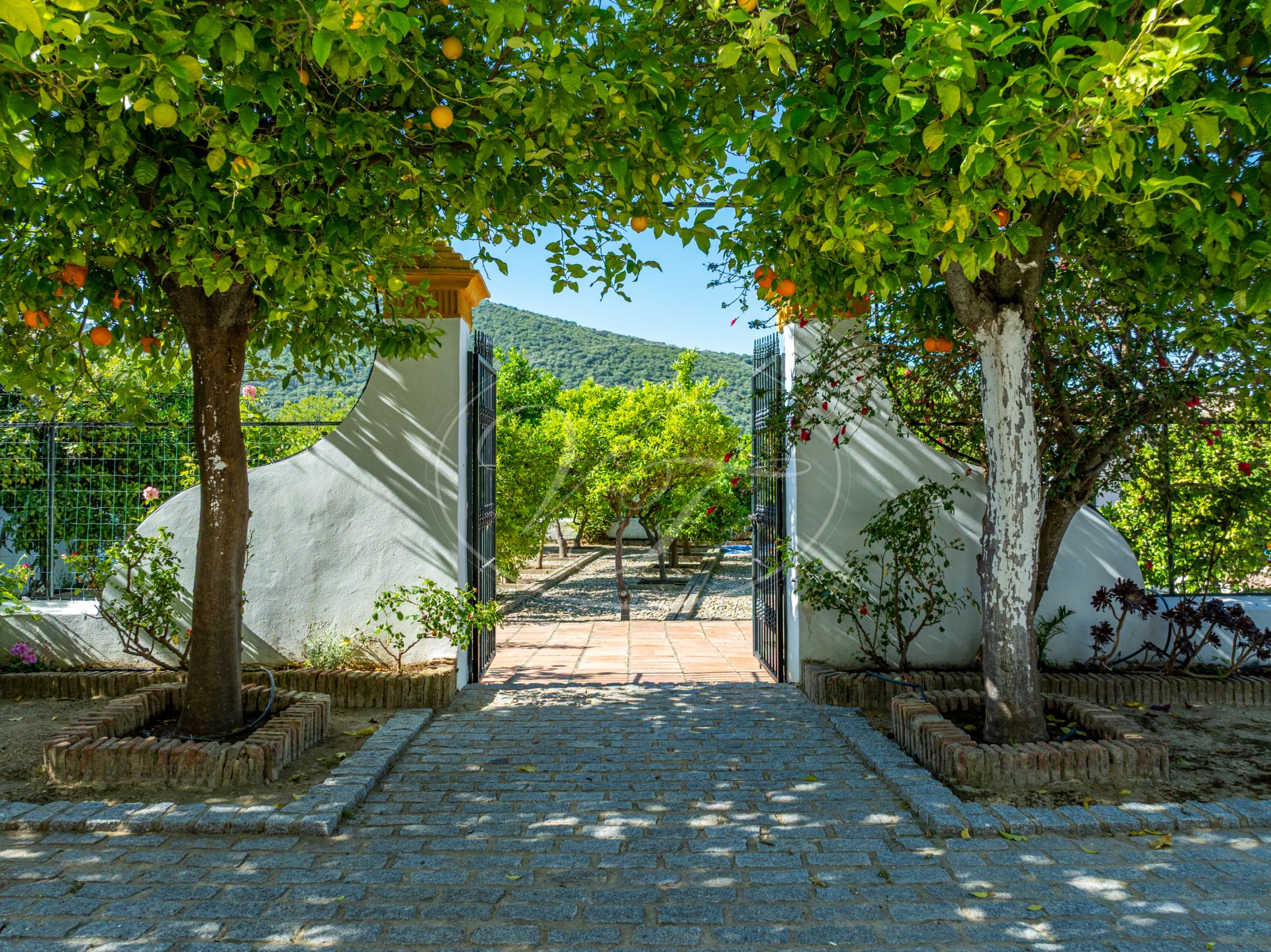 Cortijo for sale in Prado del Rey