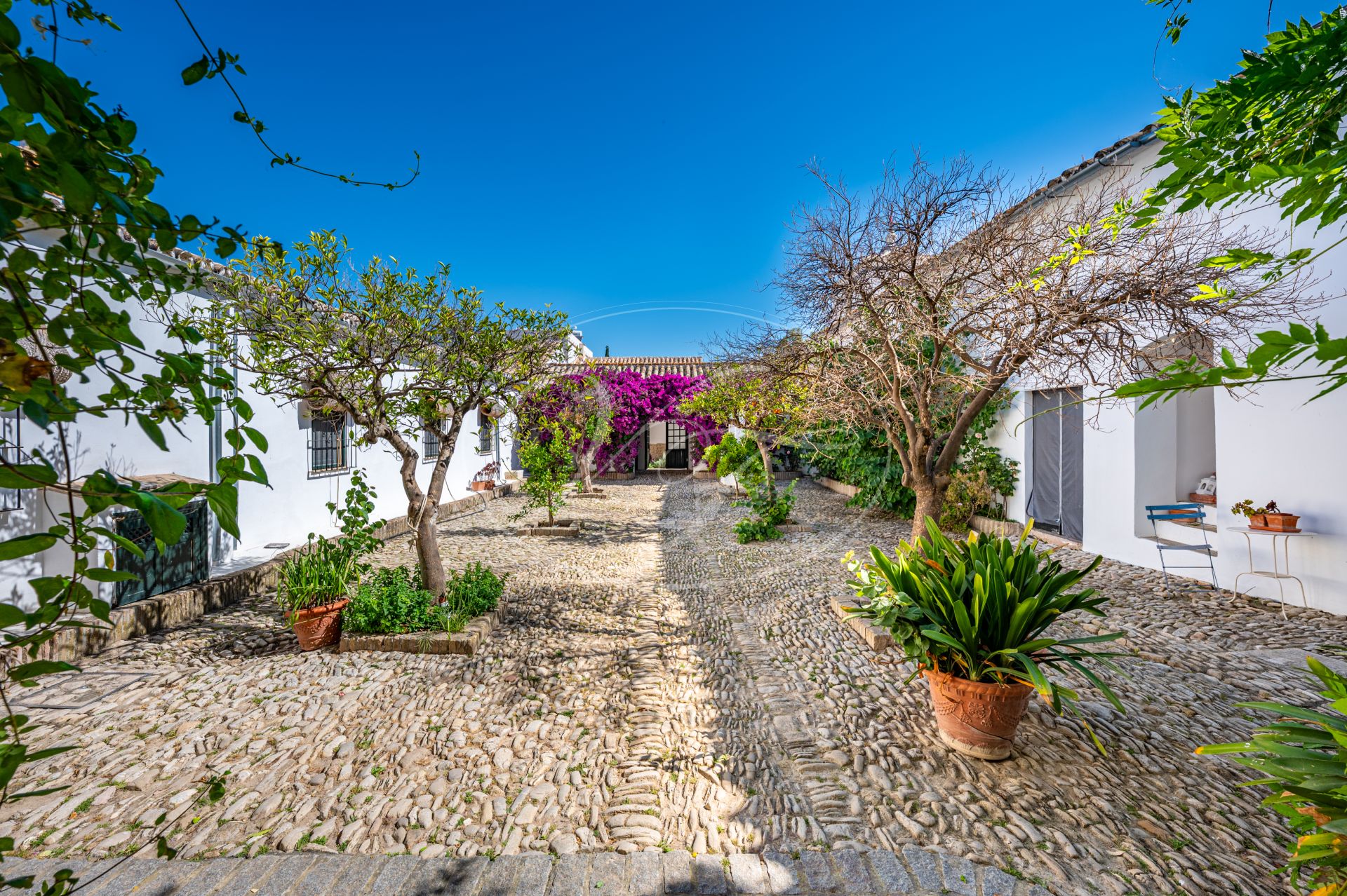 Cortijo for sale in Prado del Rey