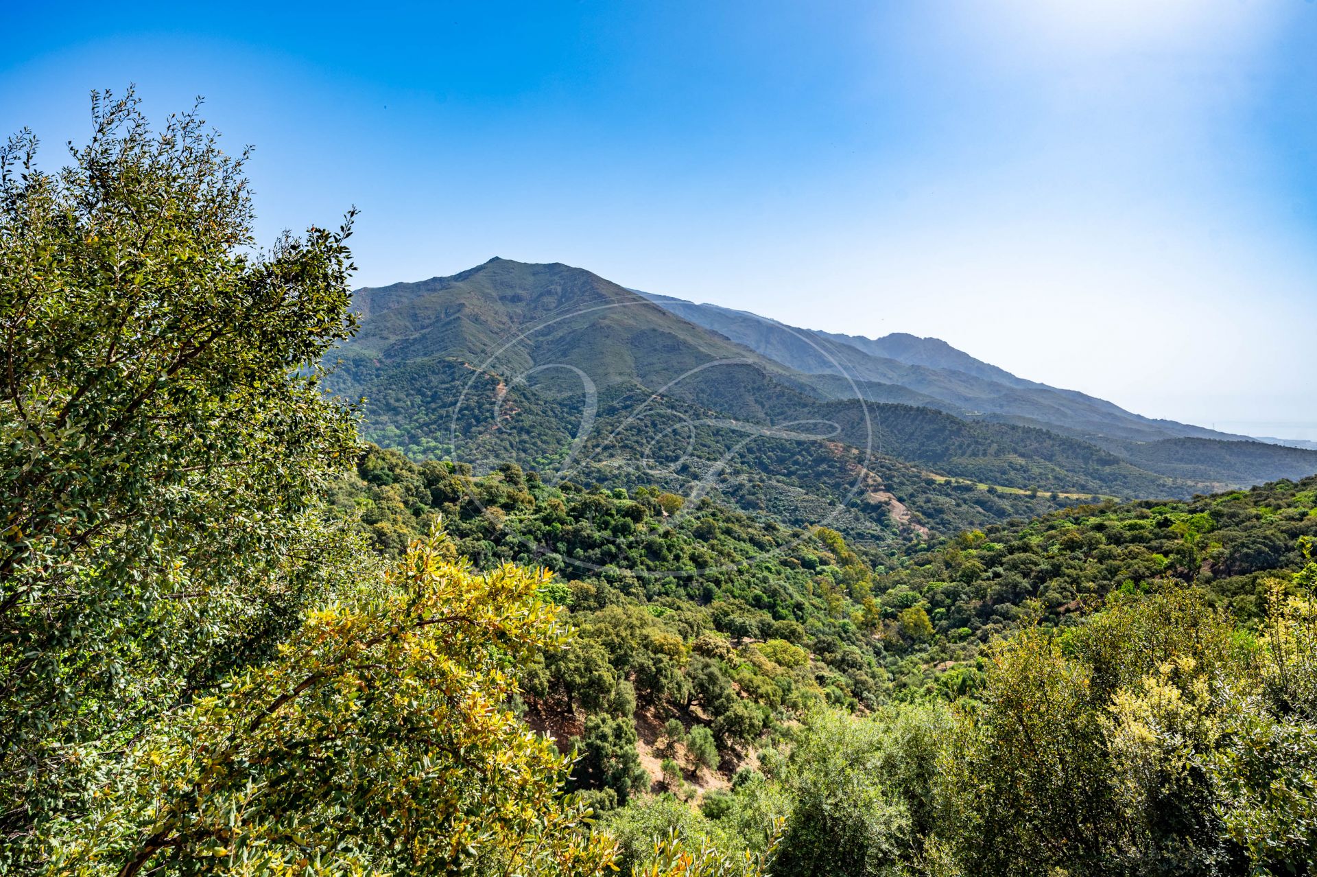 Casa de Campo en venta en Casares