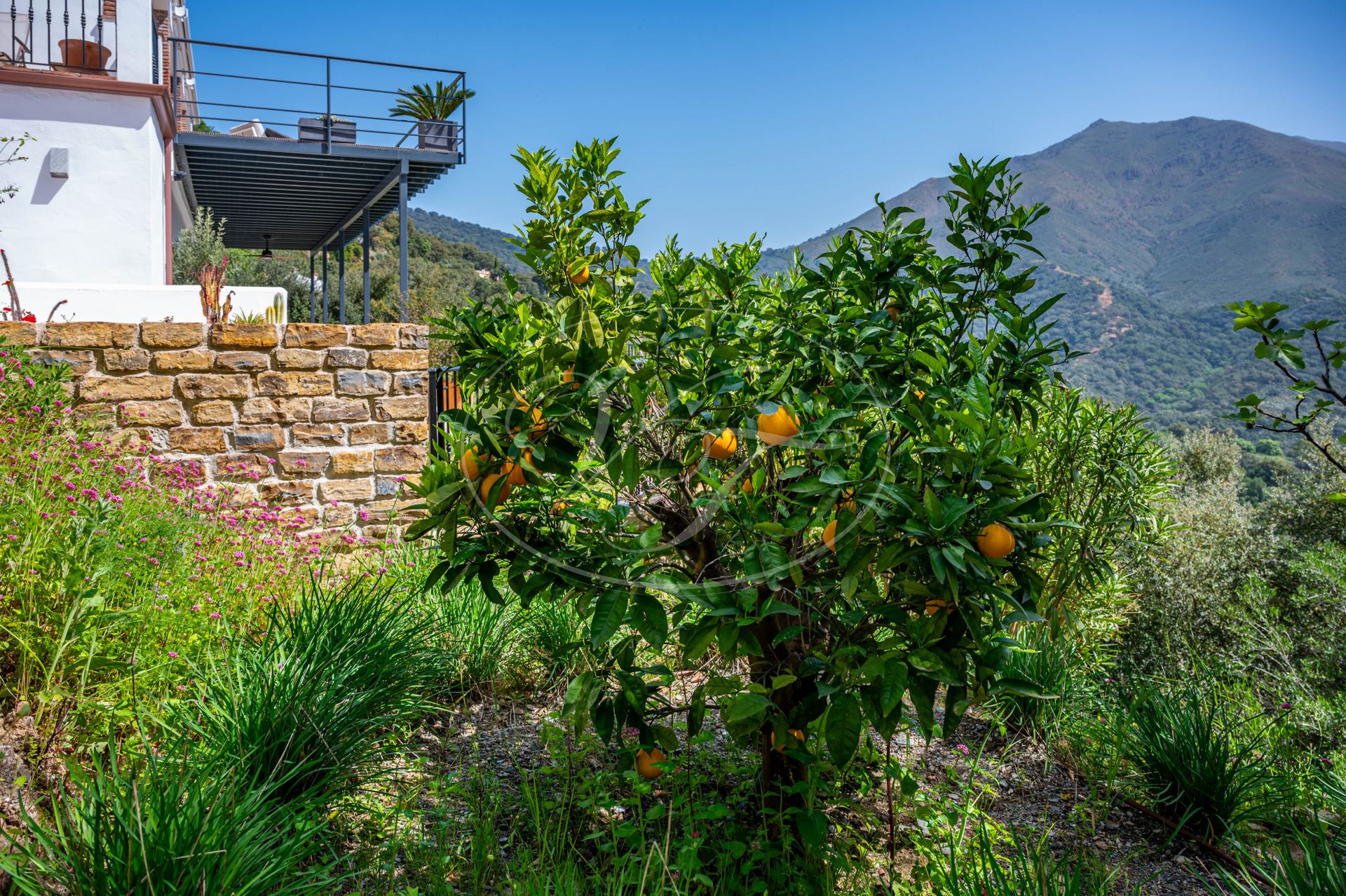 Casa de Campo en venta en Casares