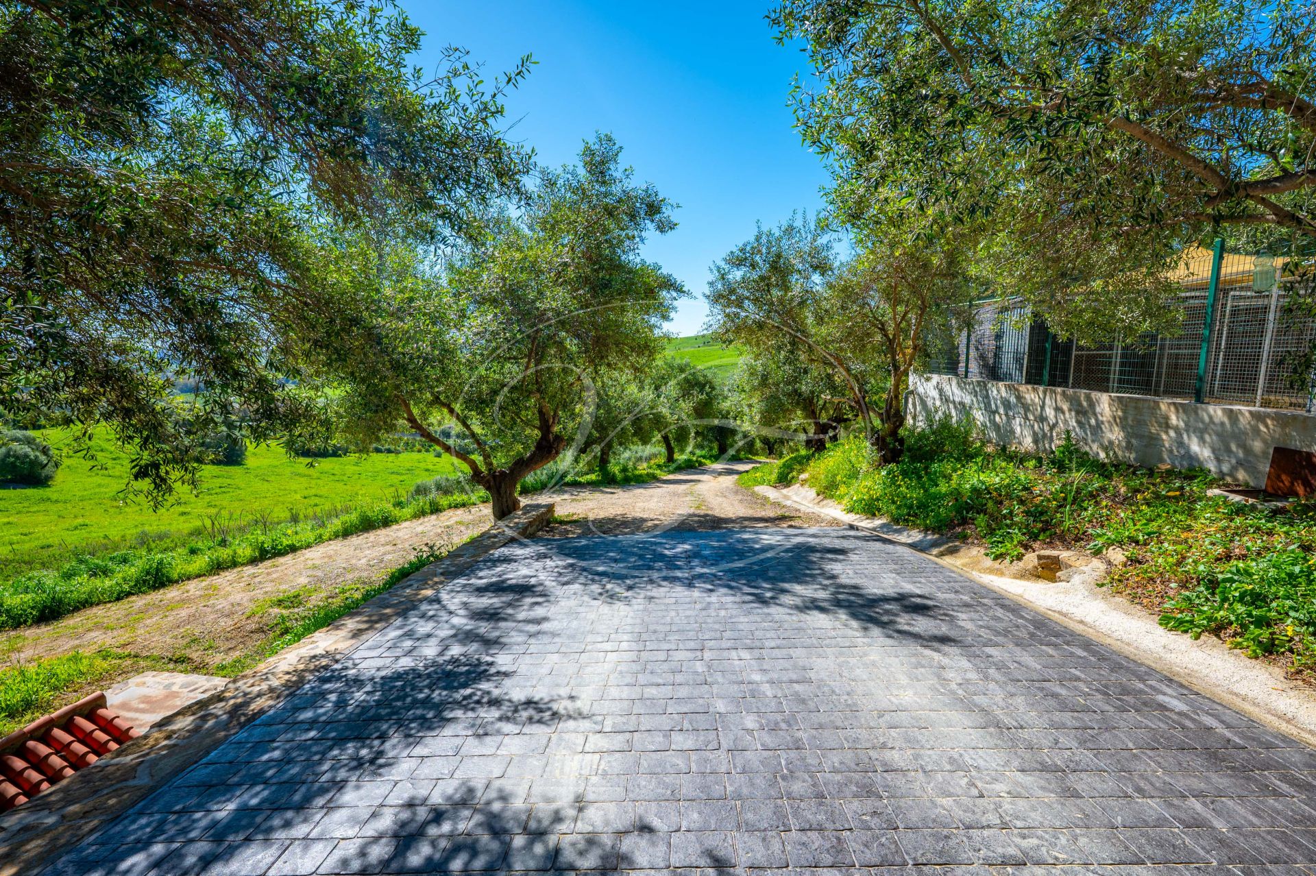 Country House for sale in Jimena de La Frontera