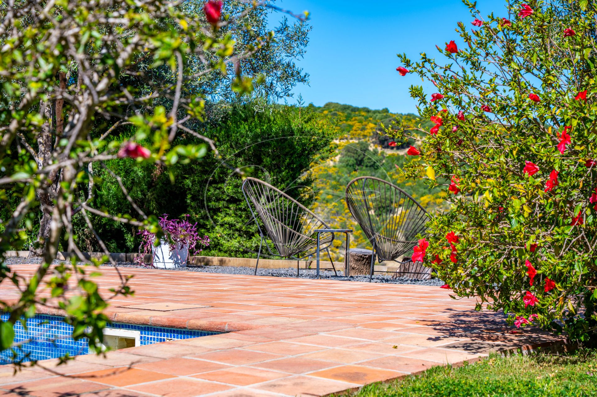 Country House for sale in Jimena de La Frontera