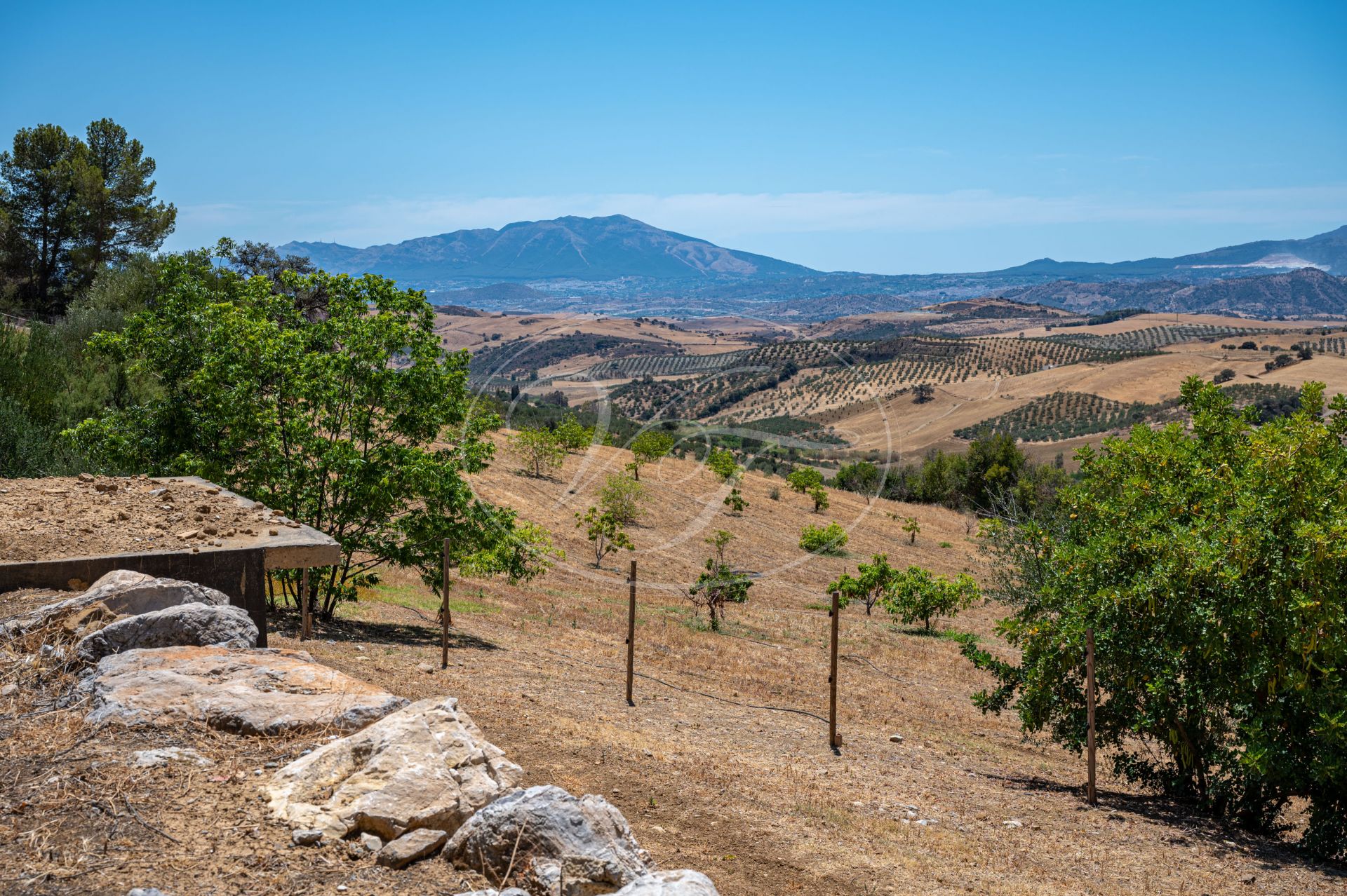 Cortijo en venta en Casarabonela