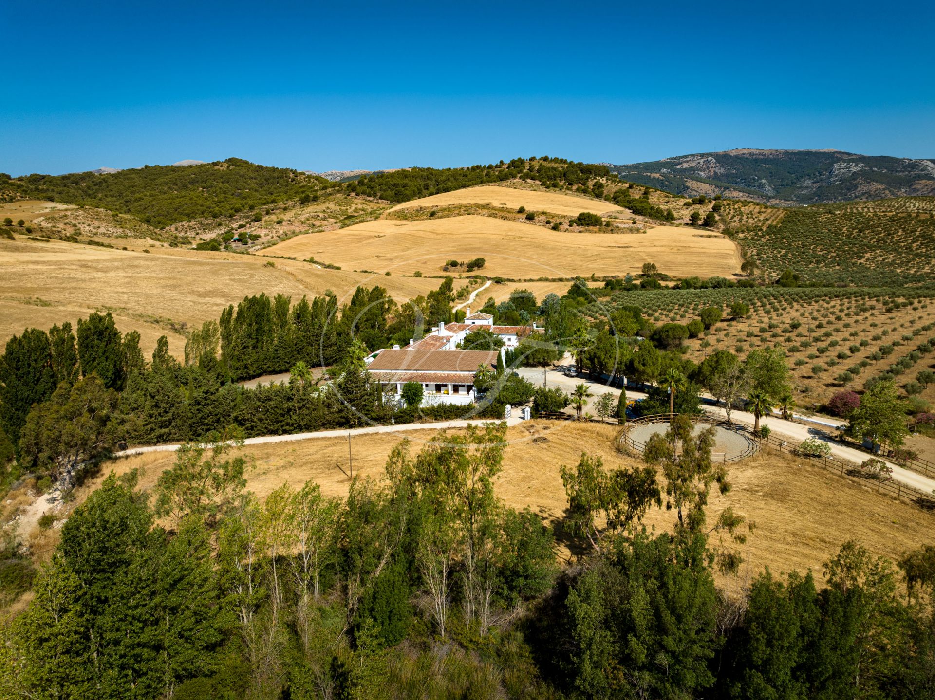 Cortijo en venta en Ronda