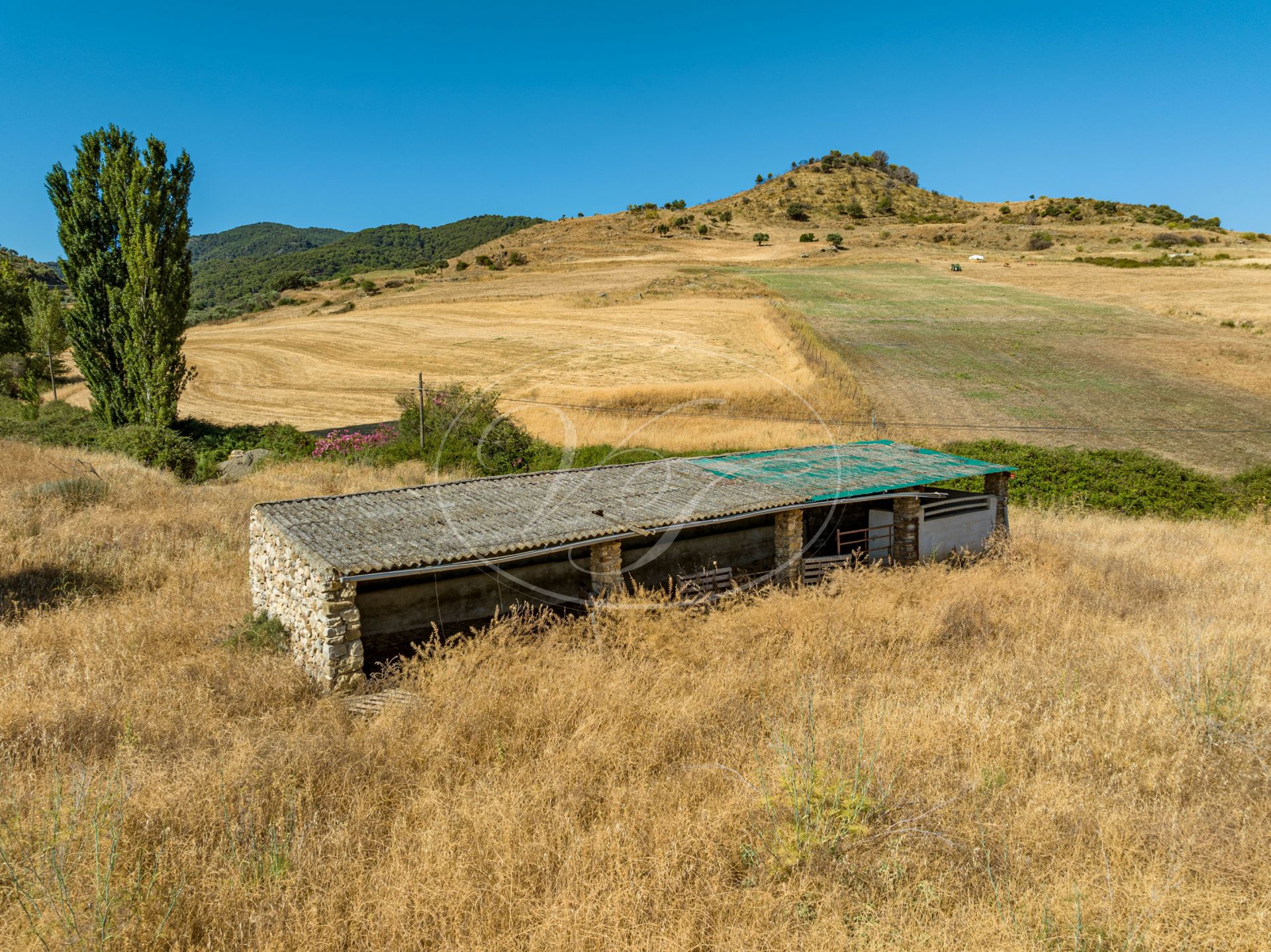 Boerderij te koop in Ronda