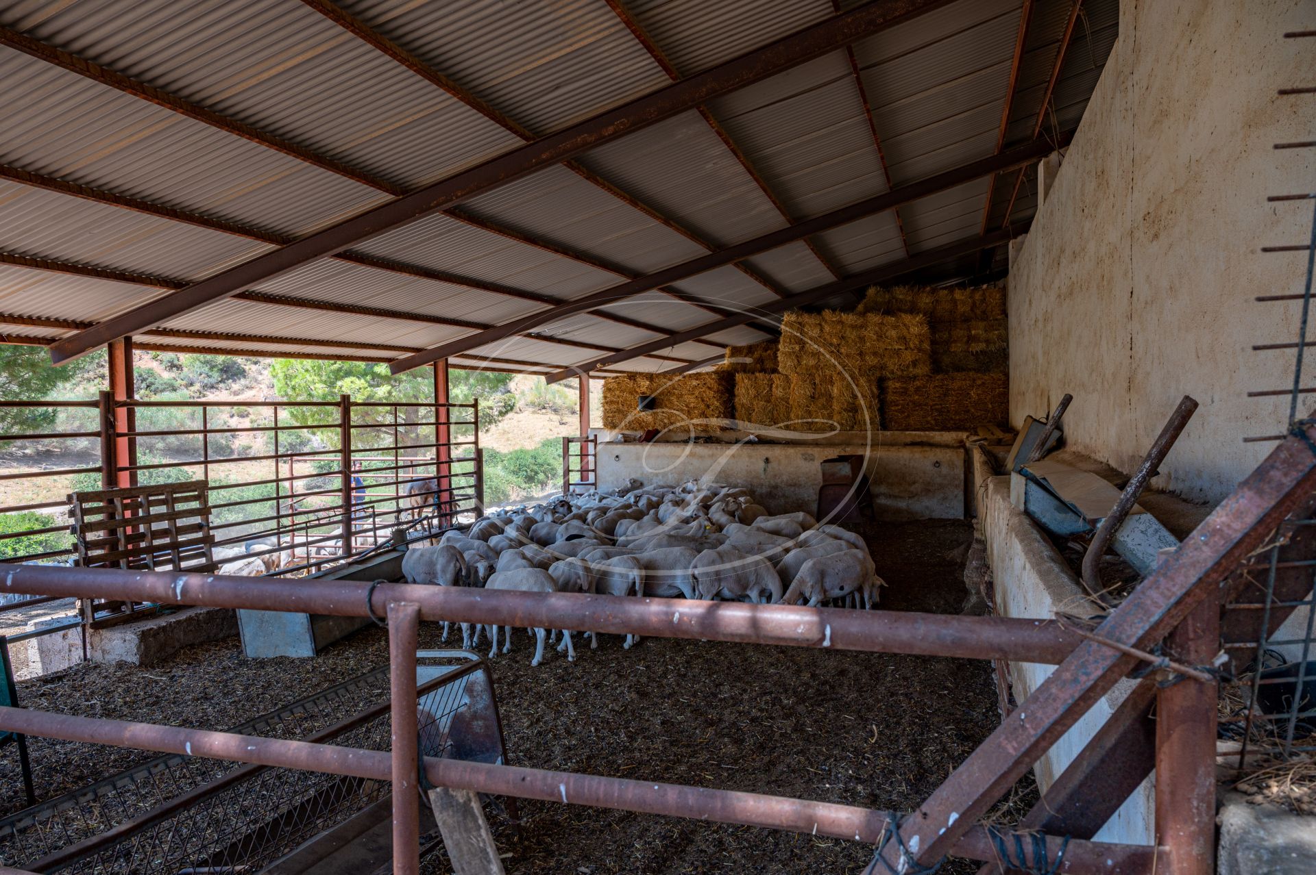 Boerderij te koop in Ronda