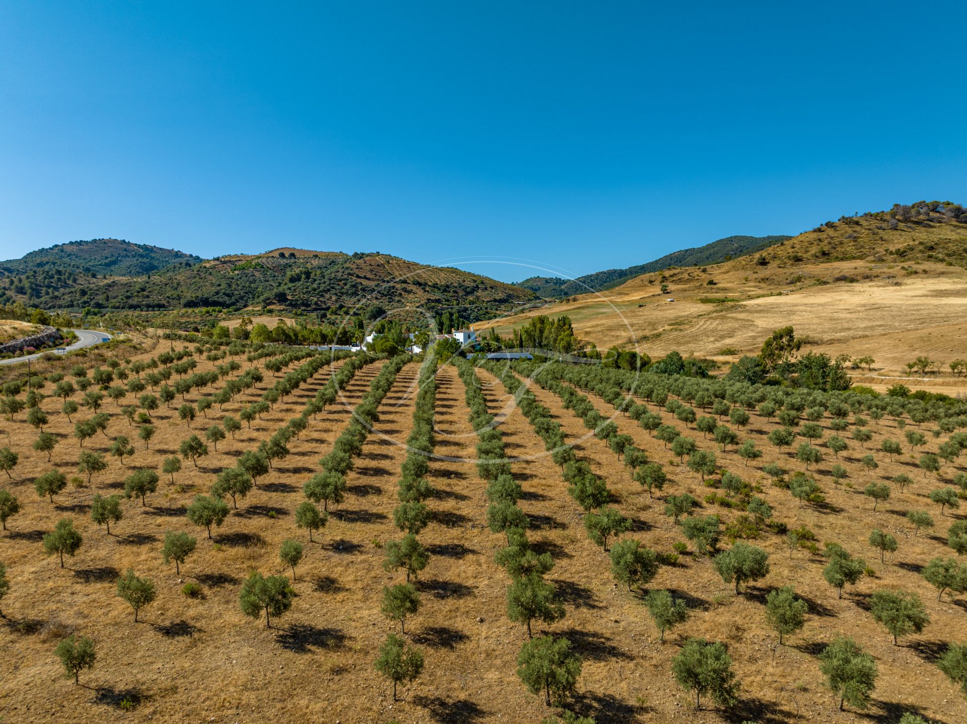 Boerderij te koop in Ronda